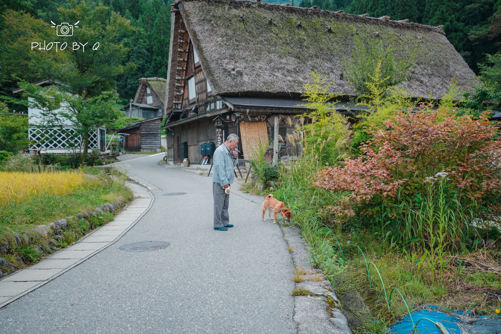 名古屋自助遊攻略