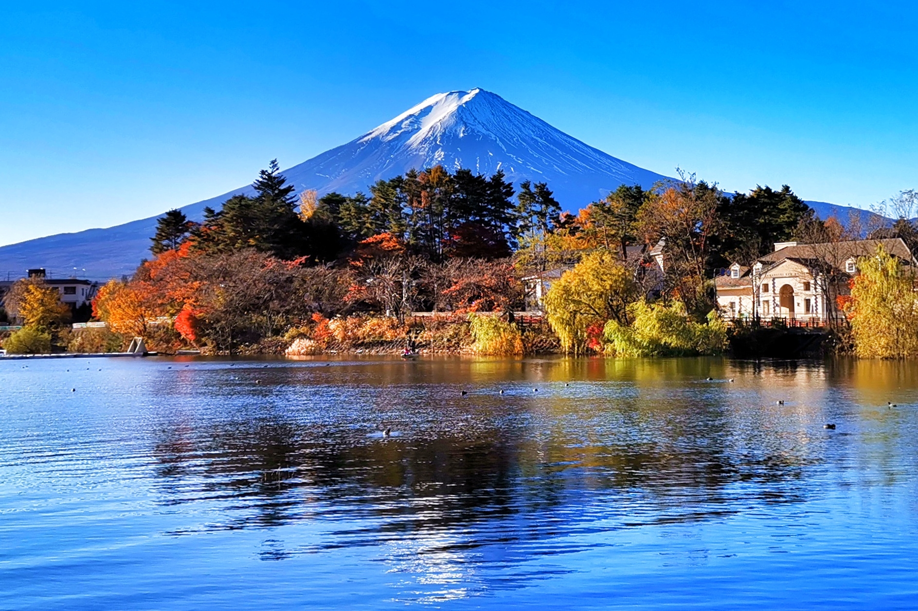 富士山自助遊攻略