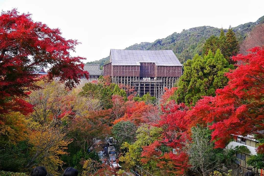 京都自助遊攻略