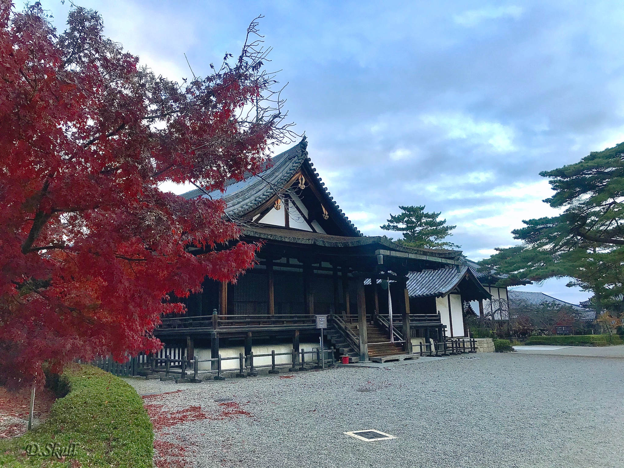 京都自助遊攻略