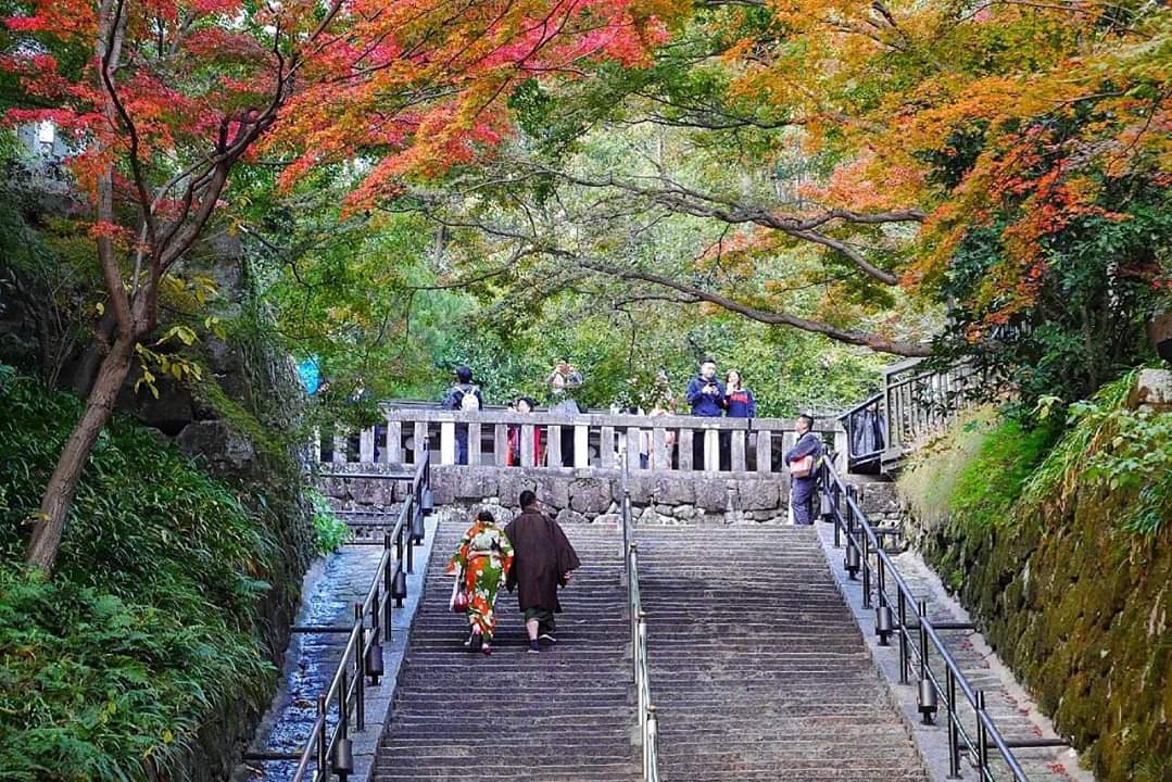 京都自助遊攻略