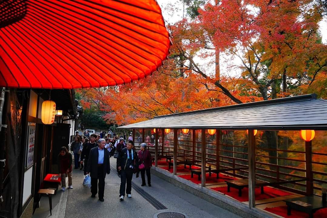 京都自助遊攻略