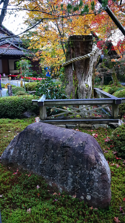 京都自助遊攻略