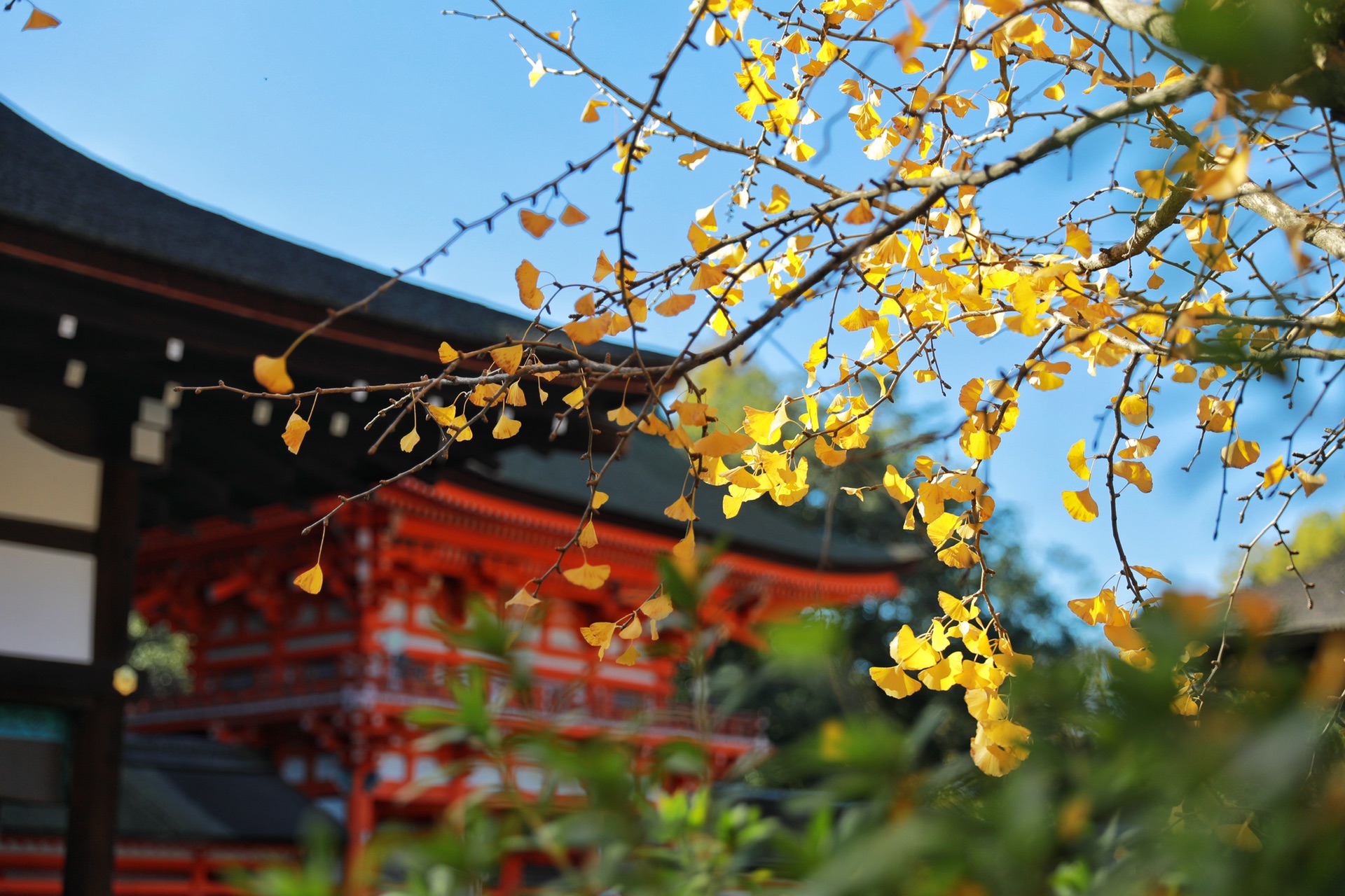 京都自助遊攻略