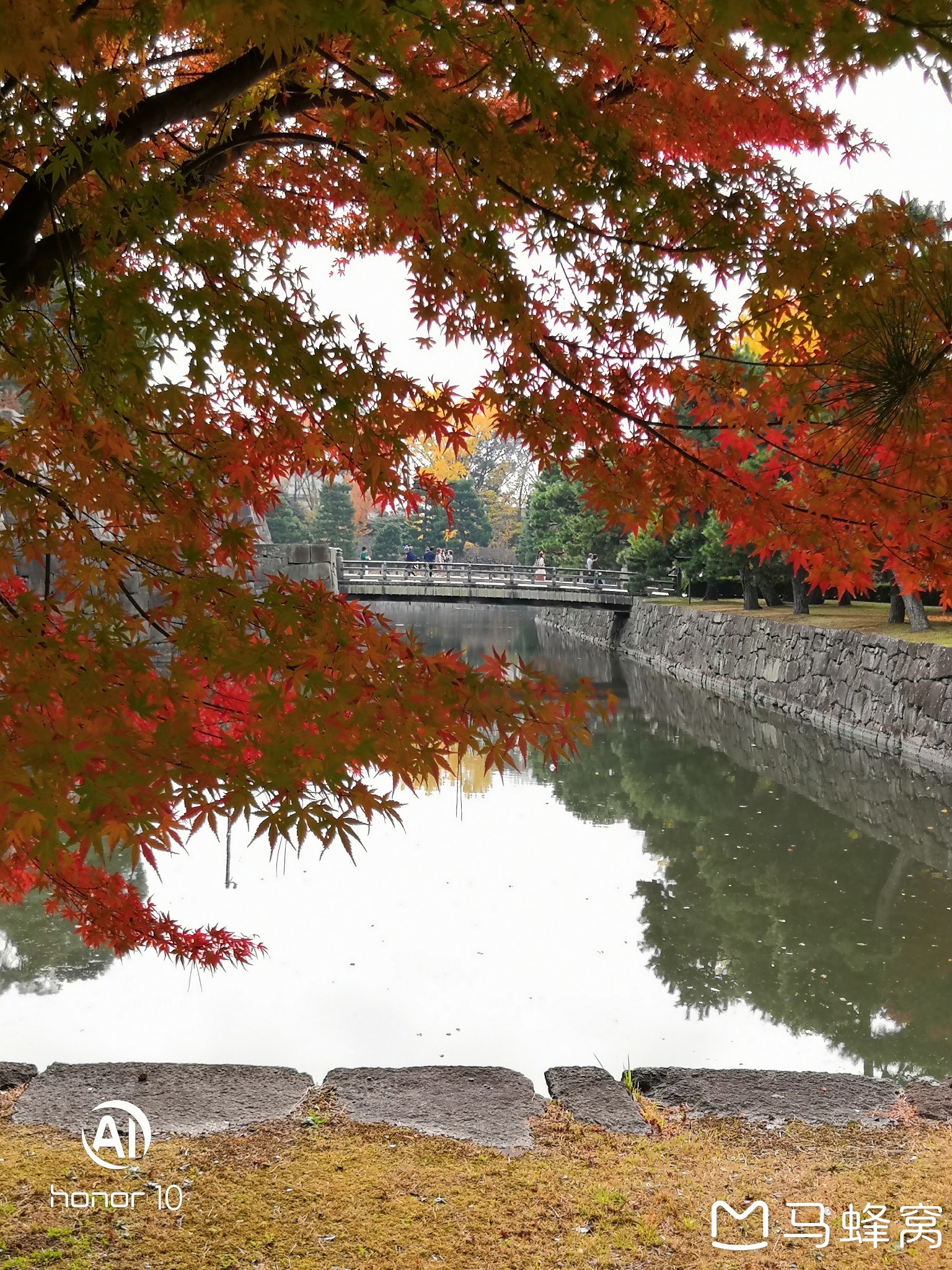 京都自助遊攻略