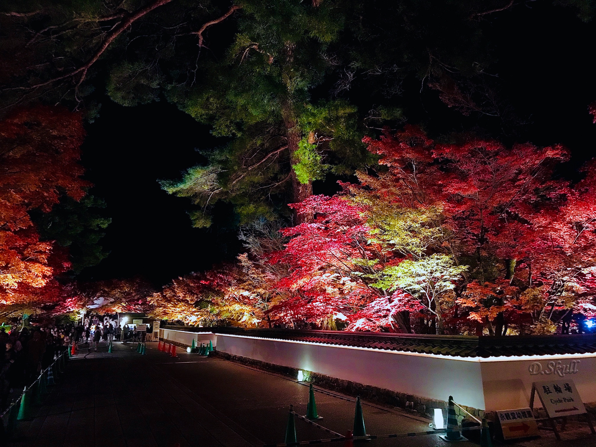 京都自助遊攻略