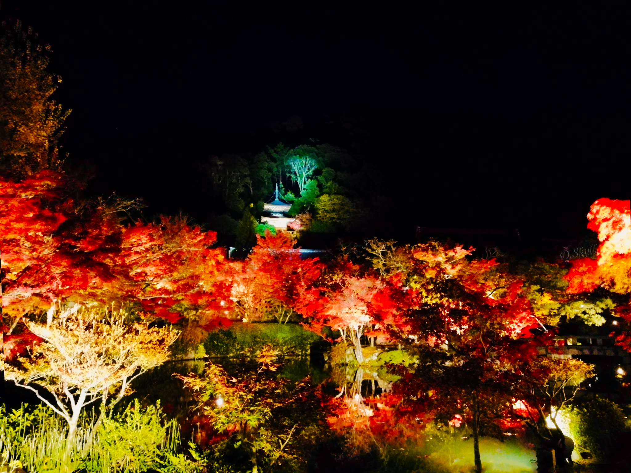 京都自助遊攻略