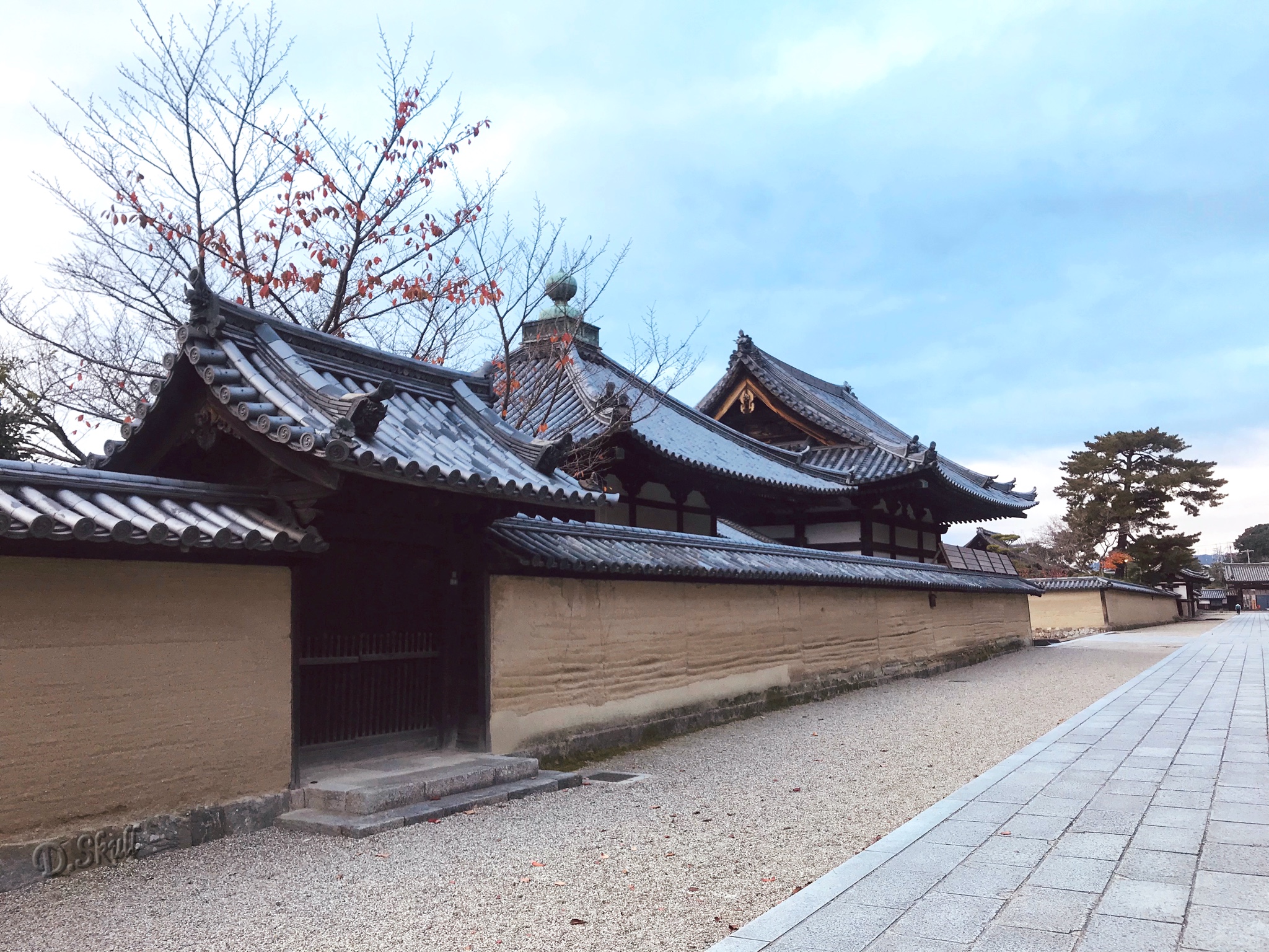 京都自助遊攻略