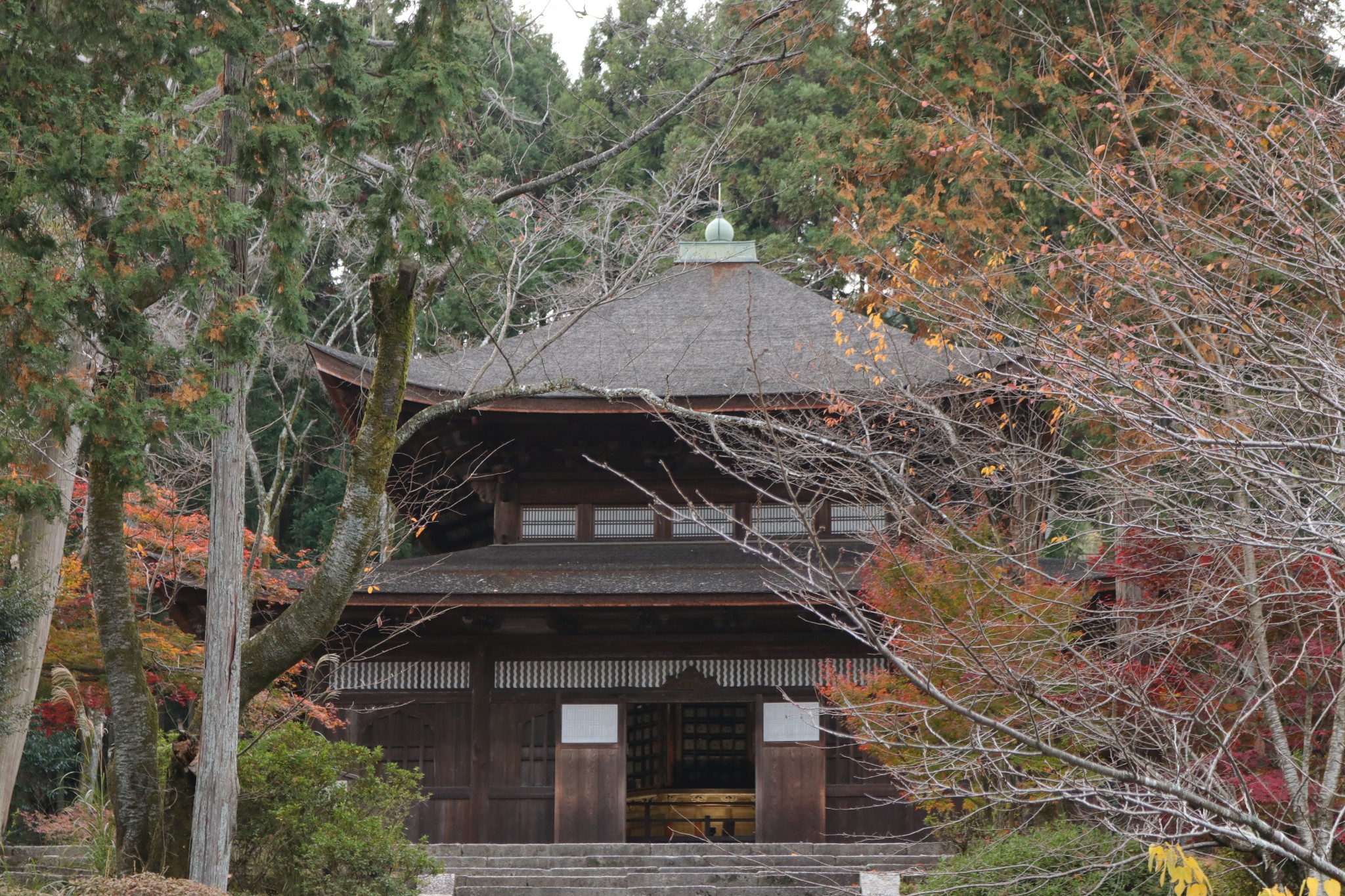 京都自助遊攻略