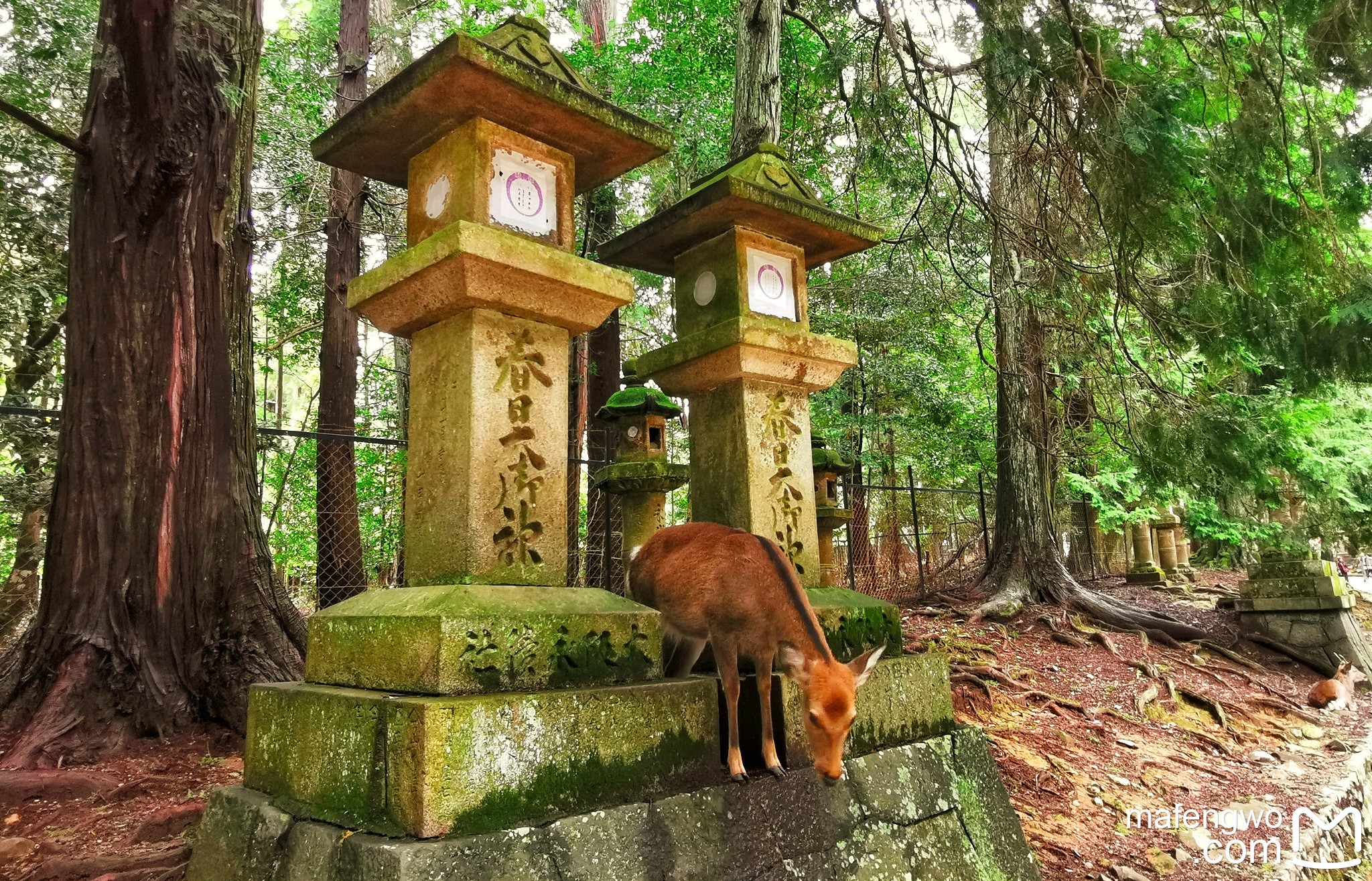 東京自助遊攻略