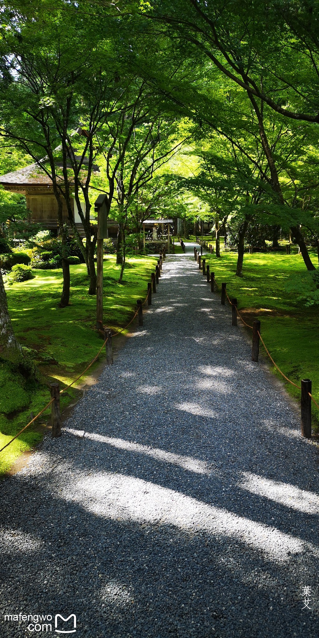 京都自助遊攻略