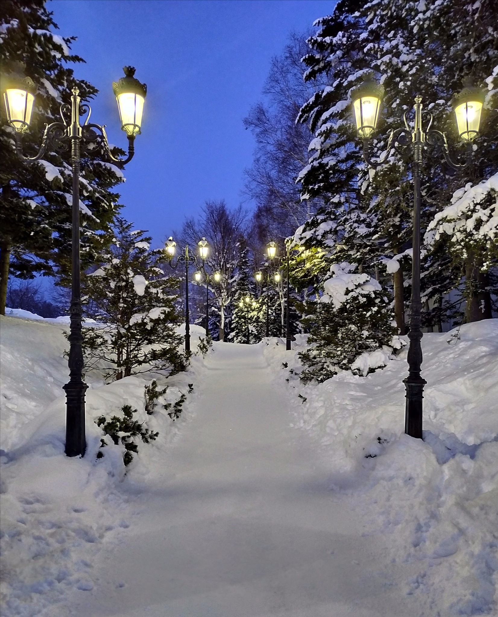 北海道自助遊攻略