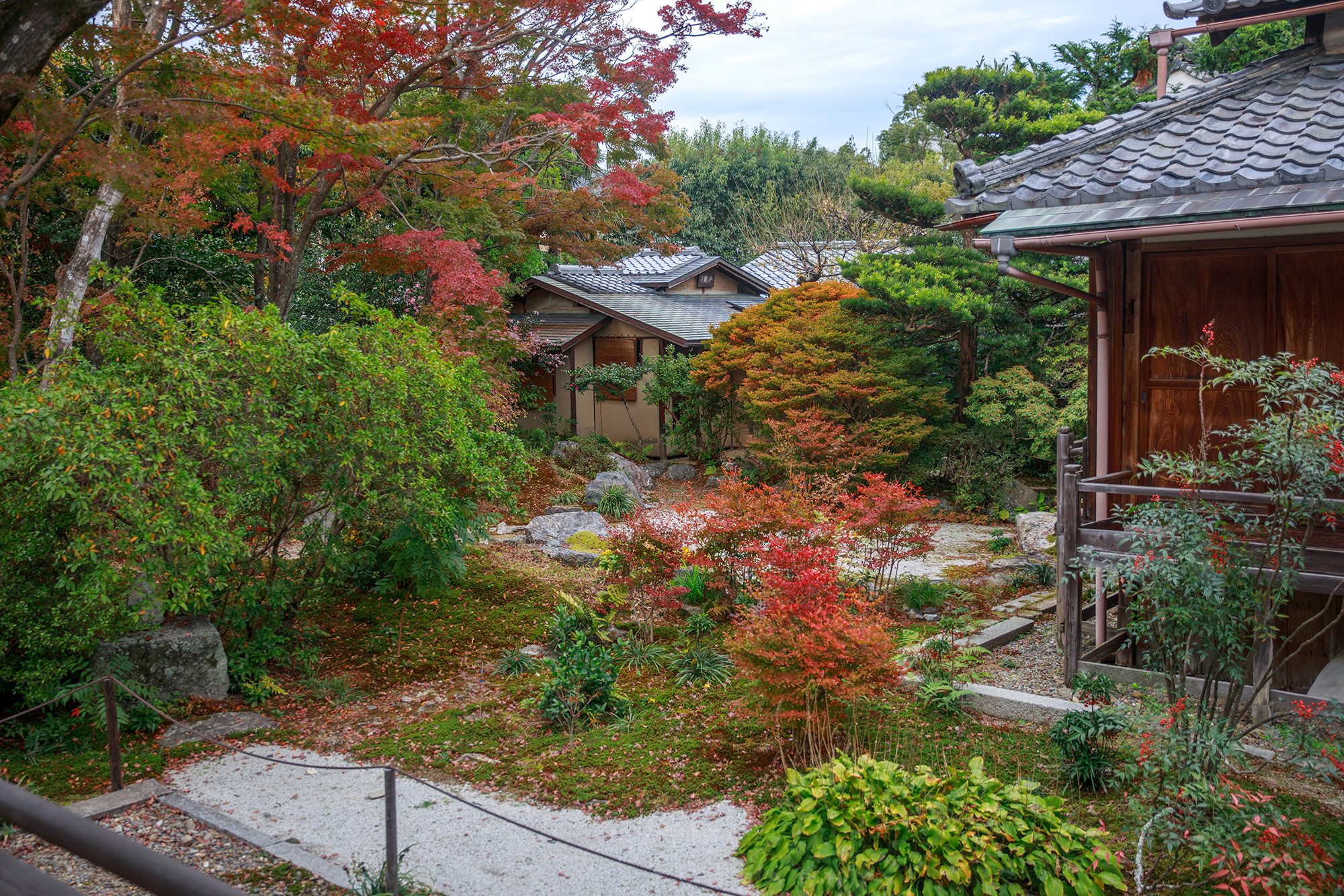 京都自助遊攻略