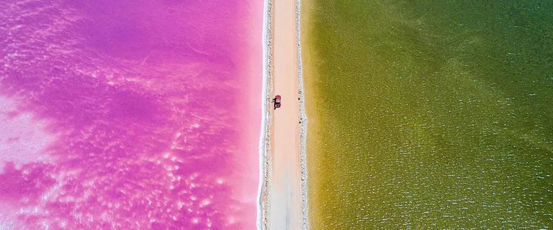 粉色泡泡幻境,南澳最ins的五大粉湖走一圈?