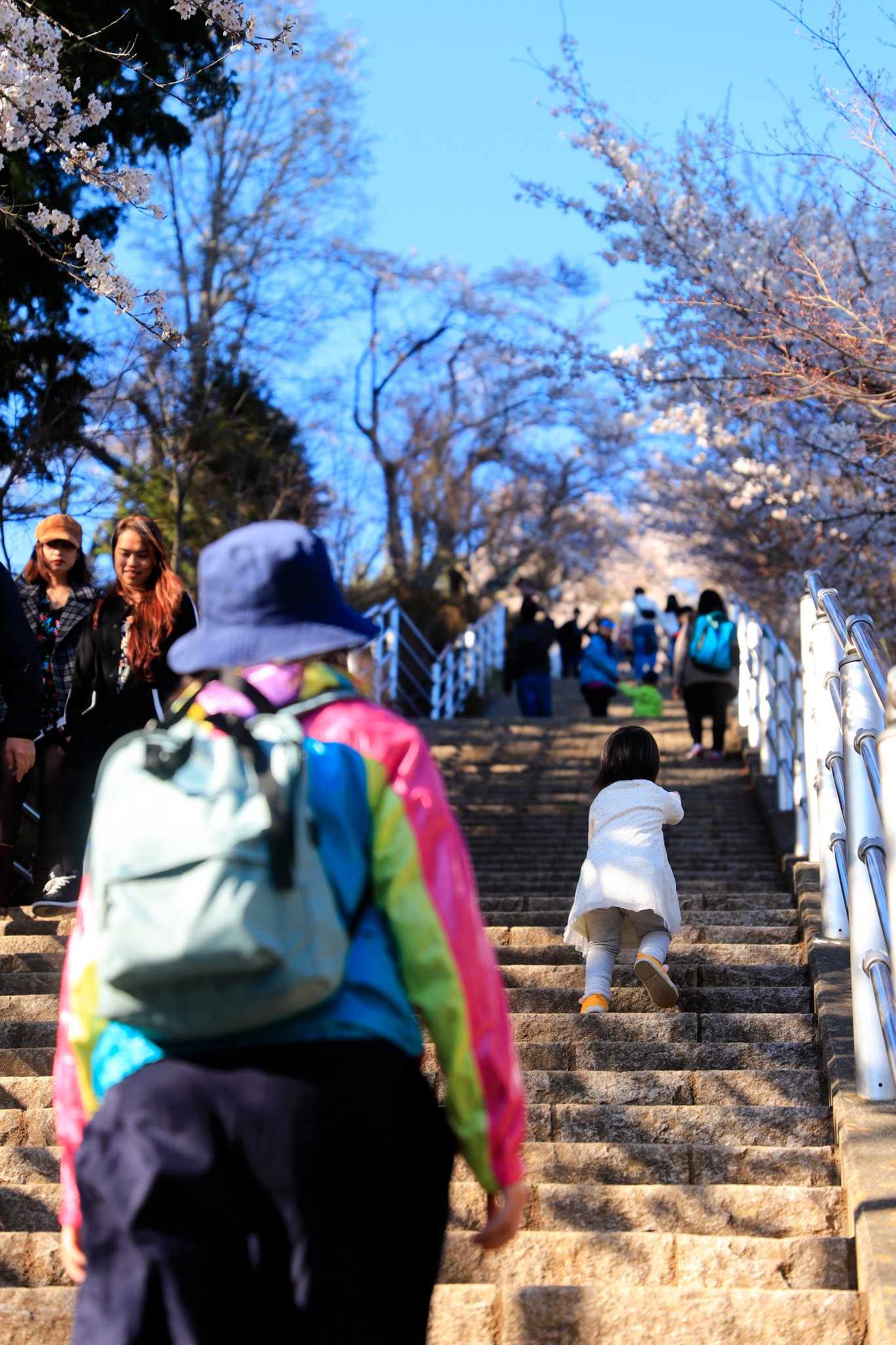 富士山自助遊攻略