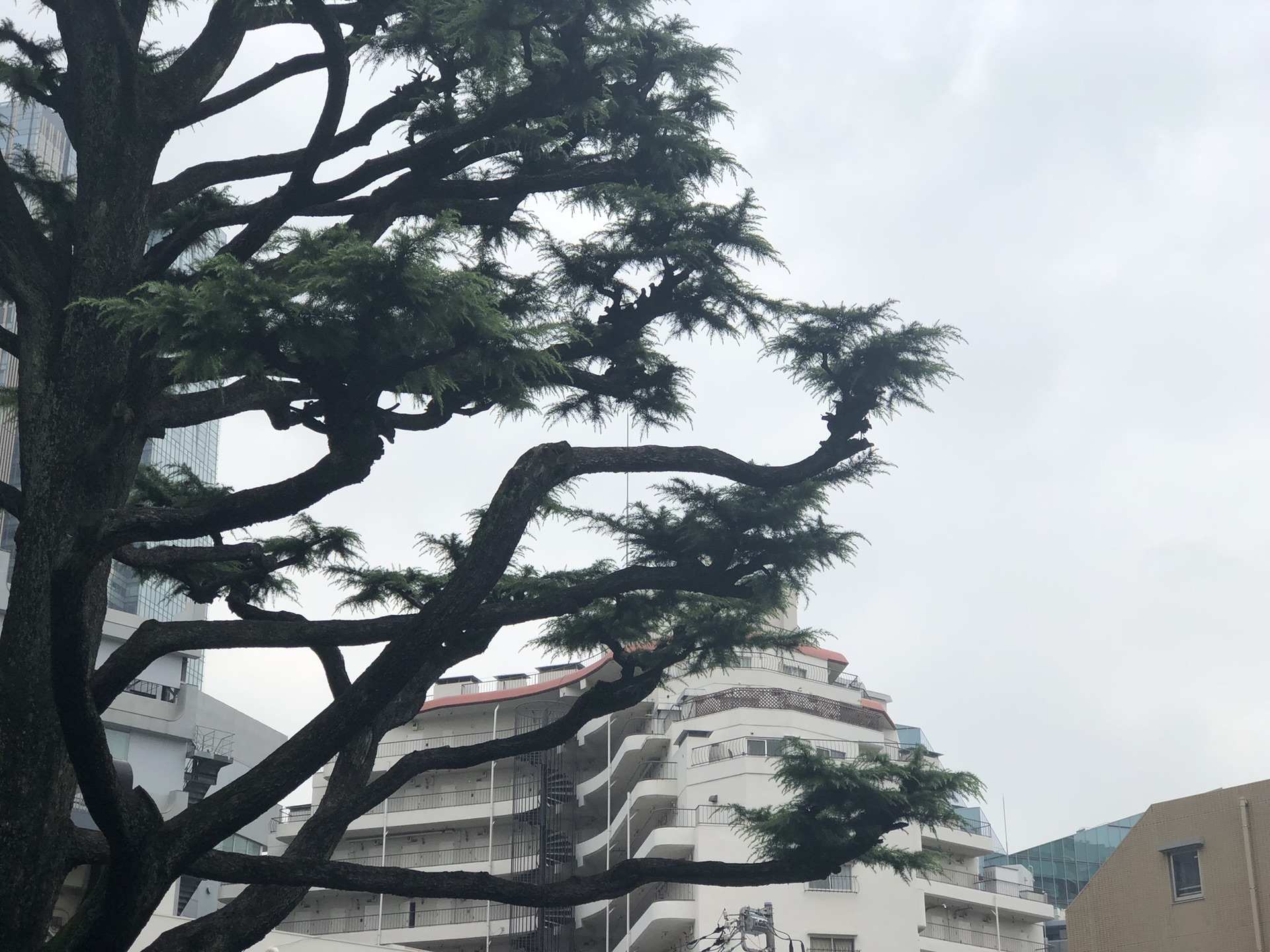 東京自助遊攻略