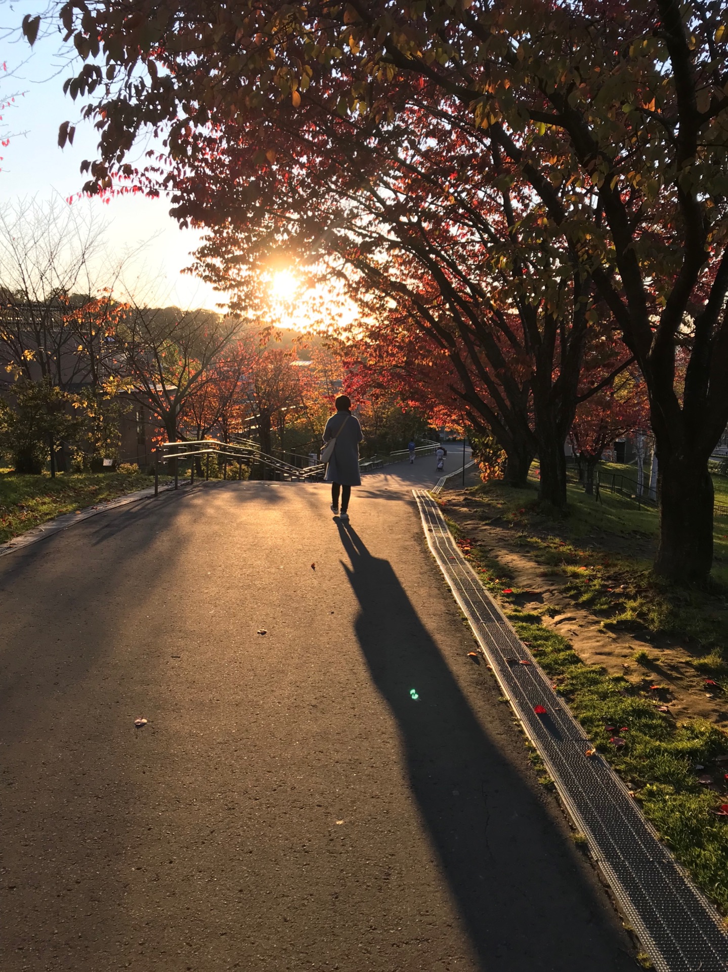 北海道自助遊攻略