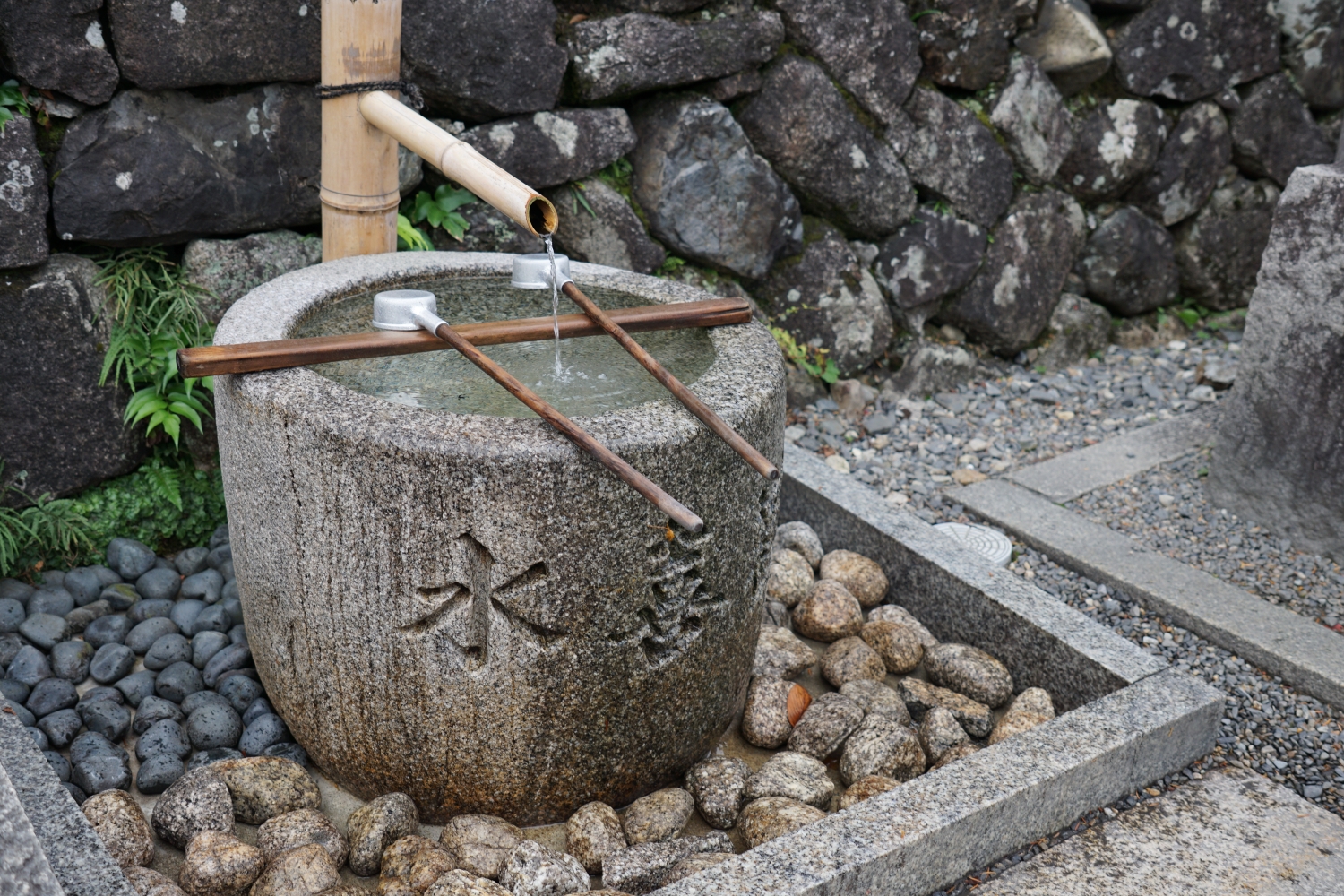 京都自助遊攻略