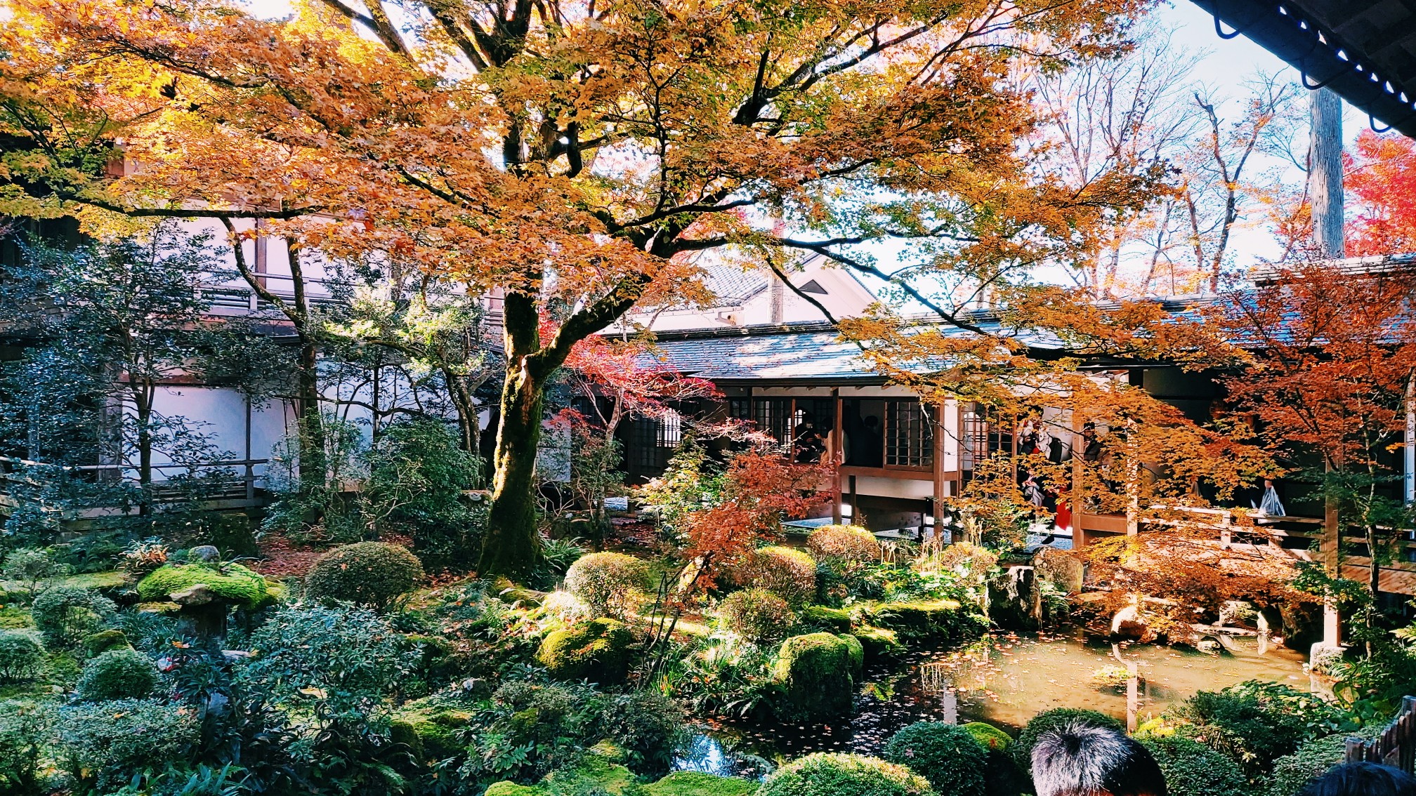 京都自助遊攻略