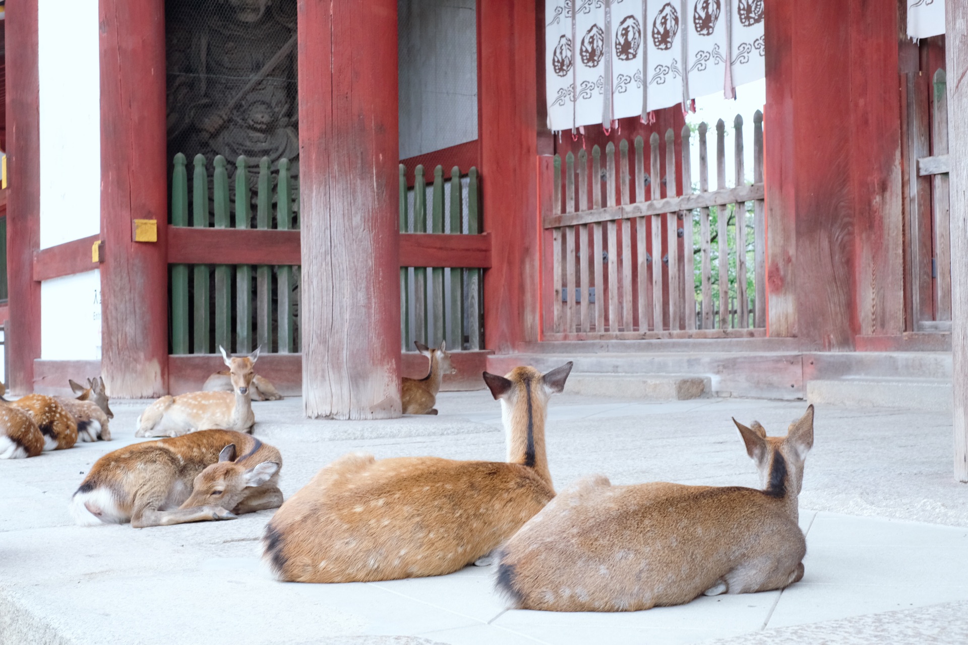 大阪自助遊攻略