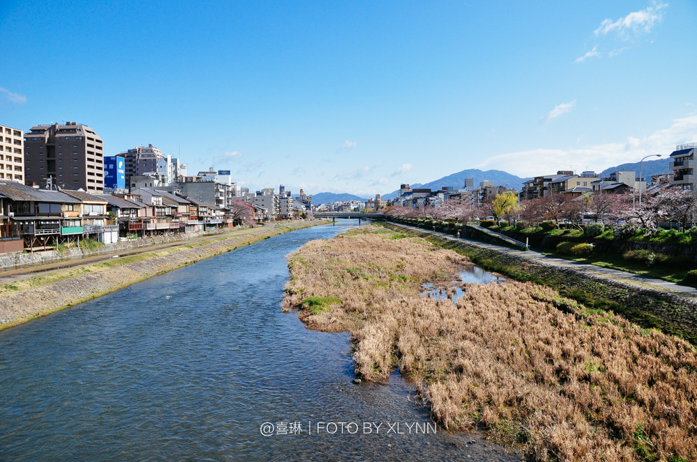 京都自助遊攻略