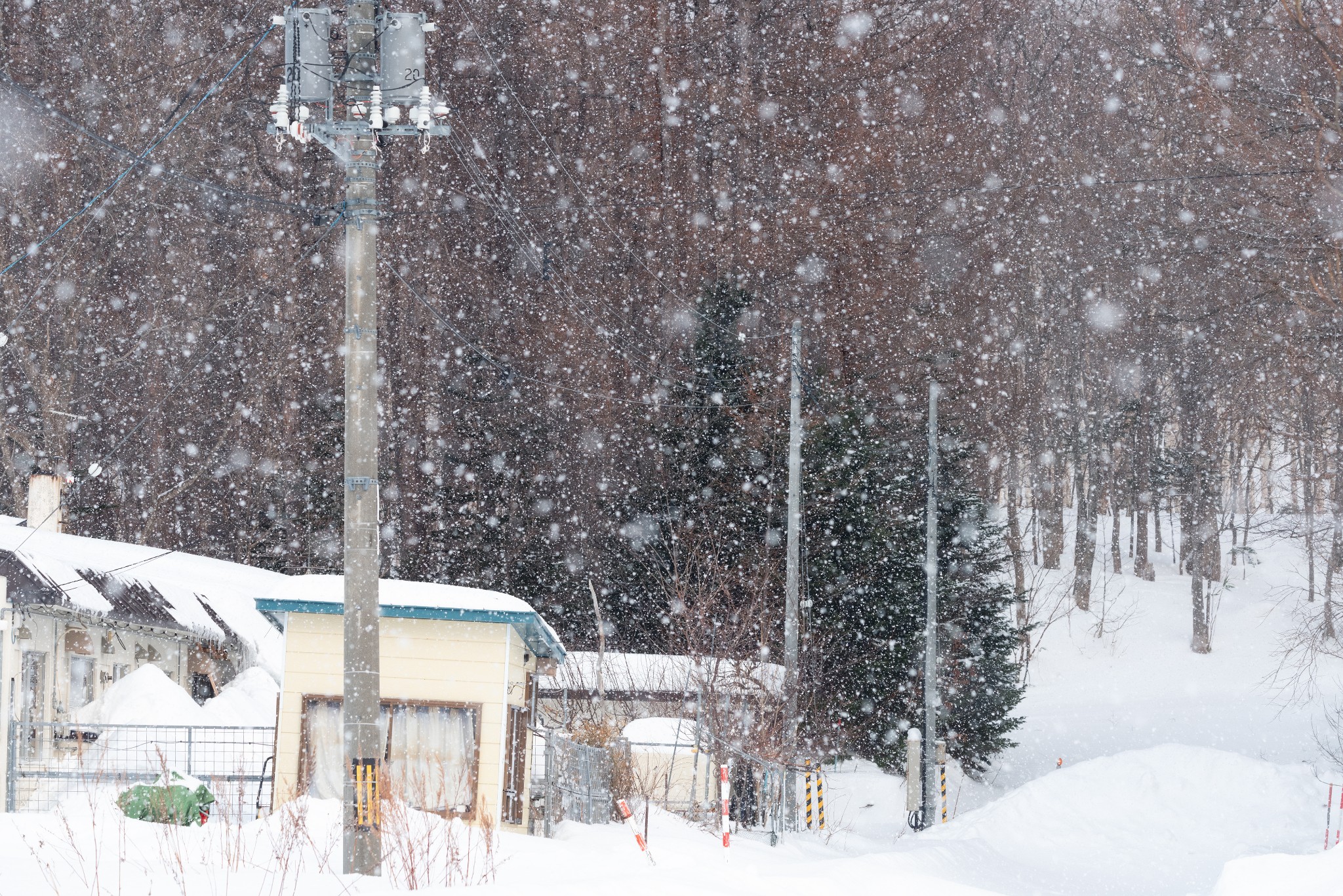 北海道自助遊攻略