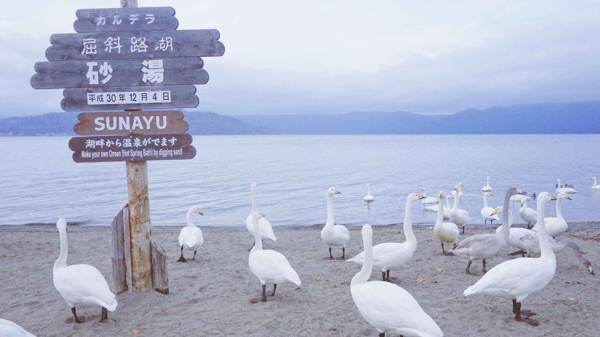 北海道自助遊攻略