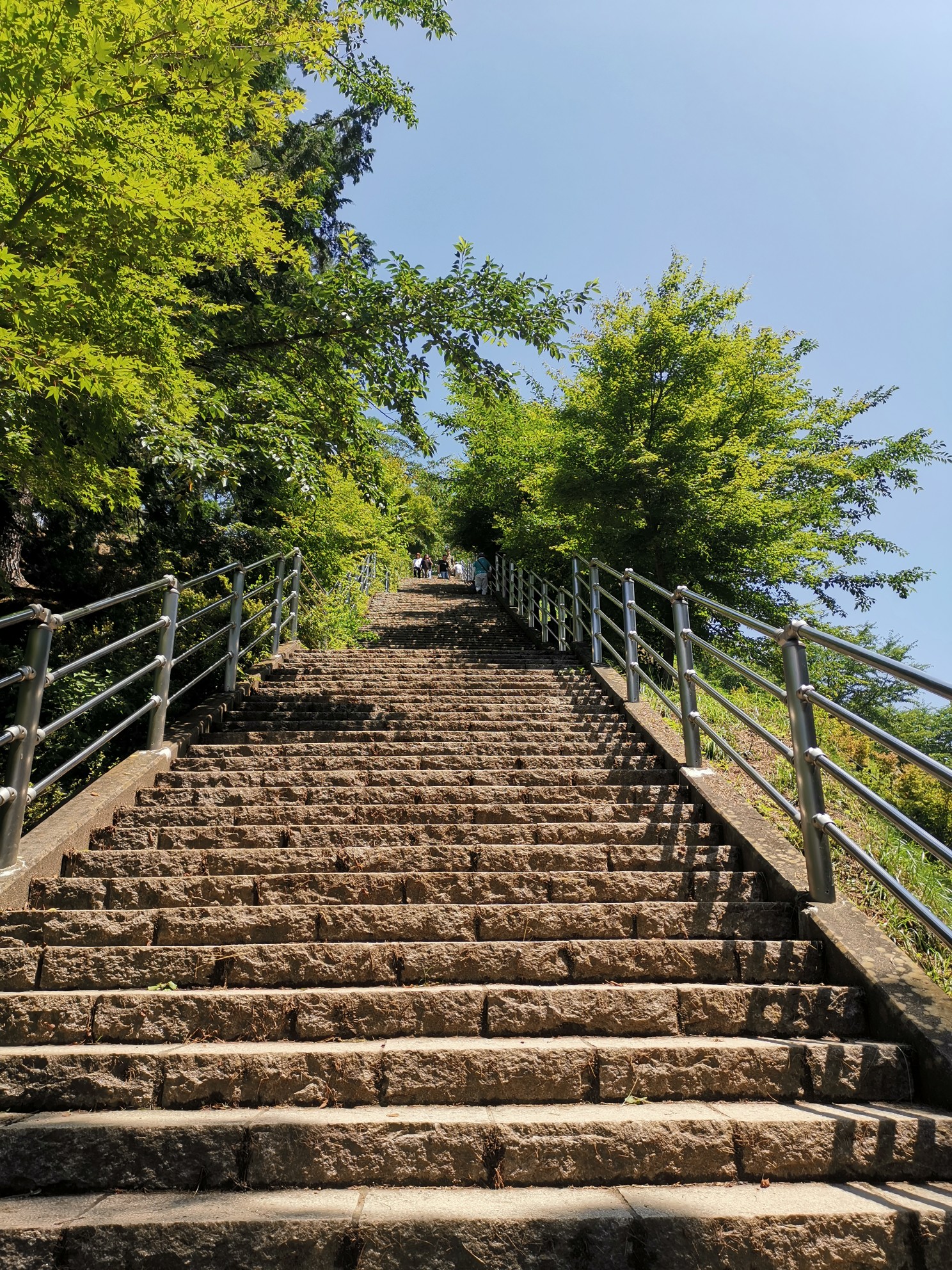 東京自助遊攻略