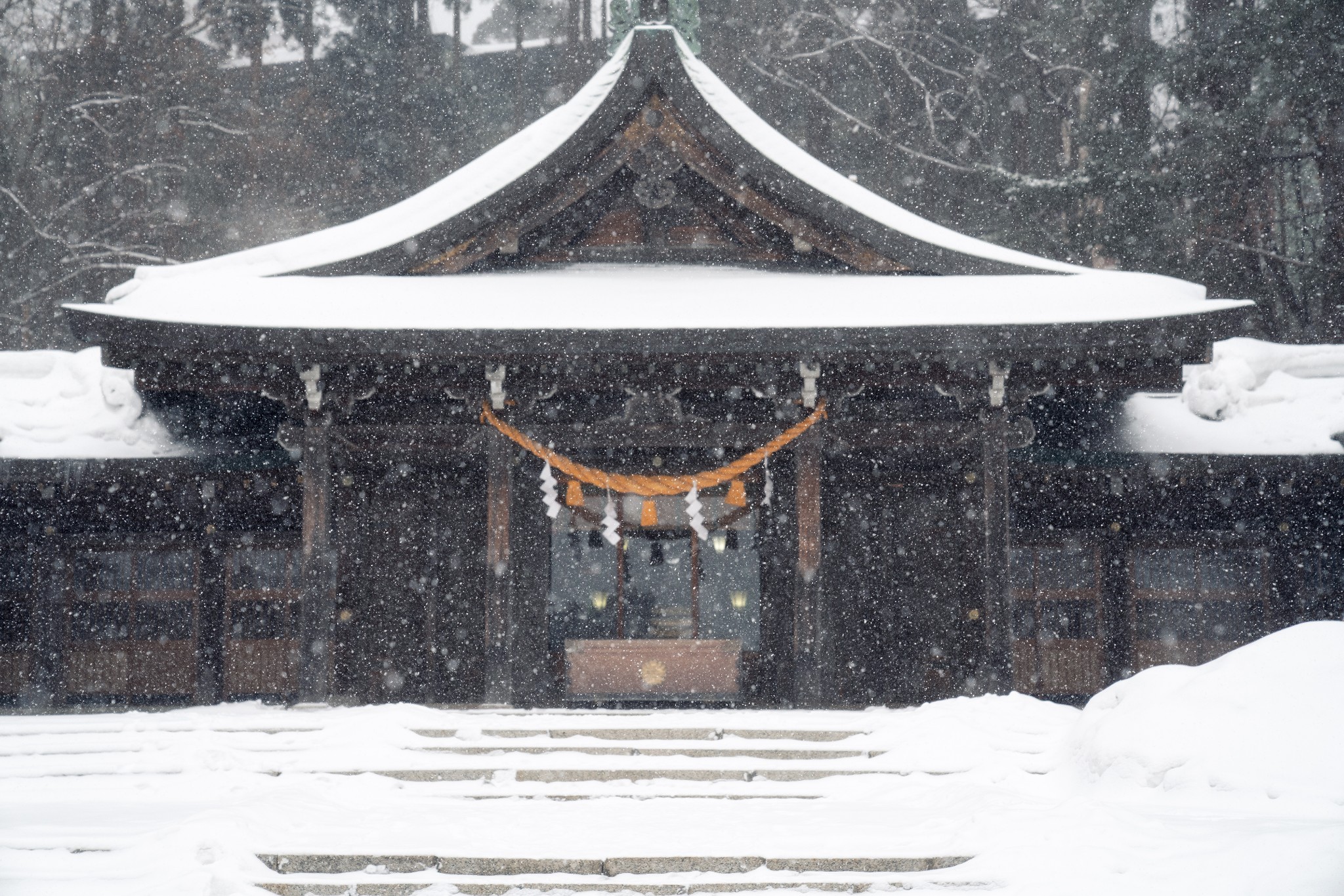 北海道自助遊攻略