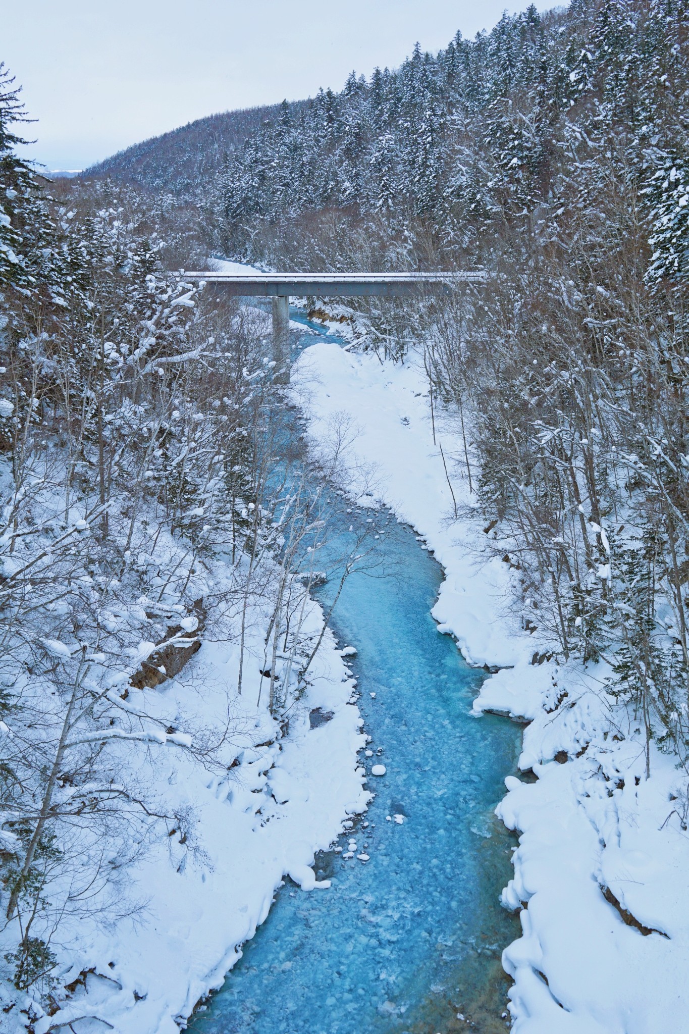 北海道自助遊攻略