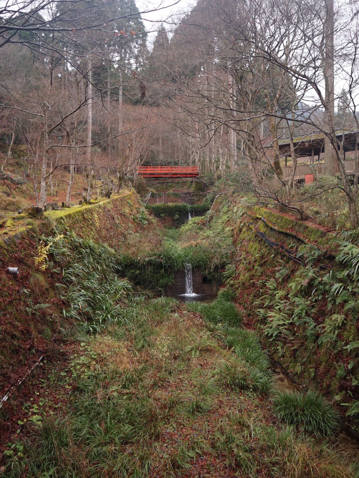 京都自助遊攻略