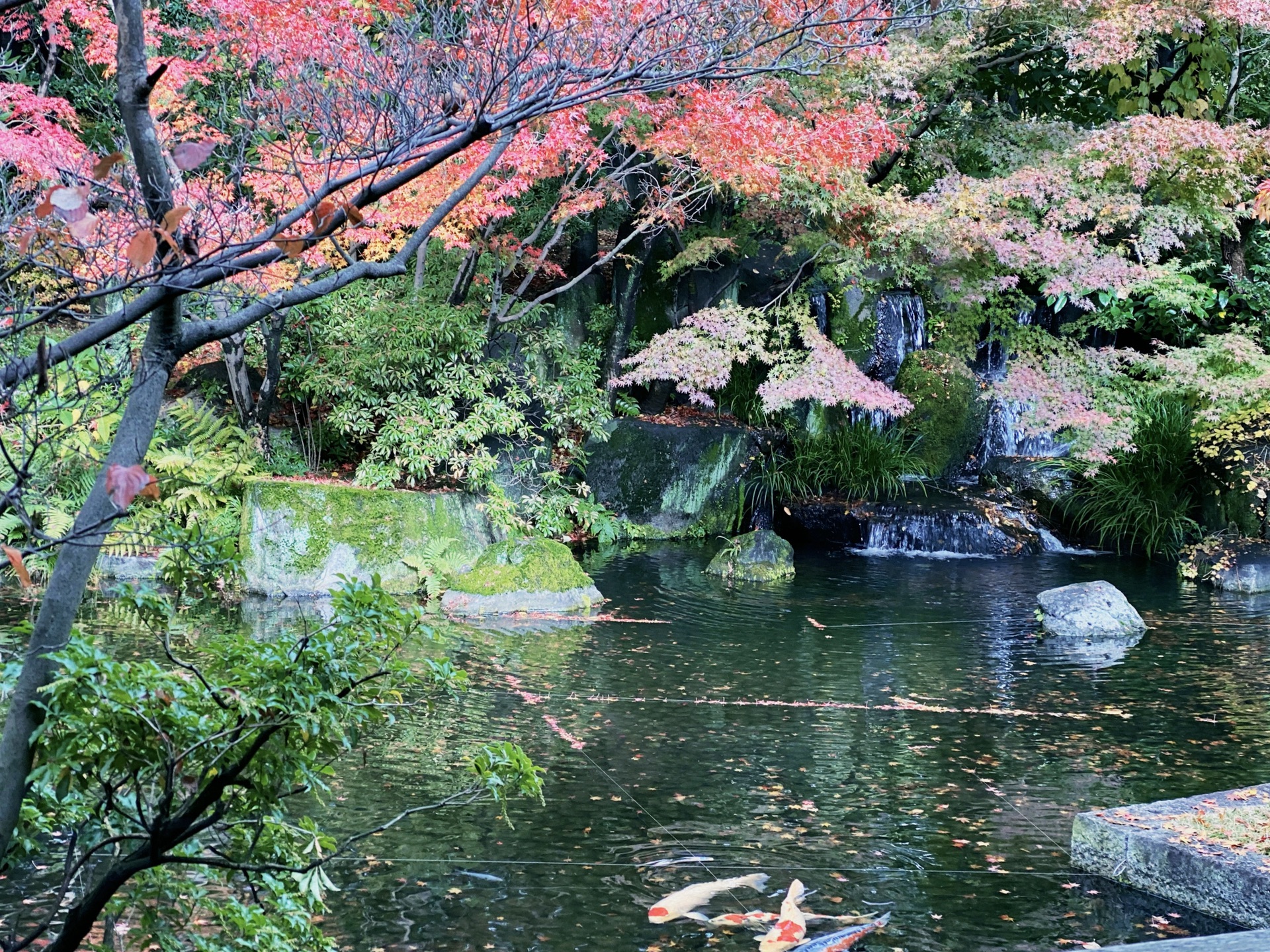 京都自助遊攻略