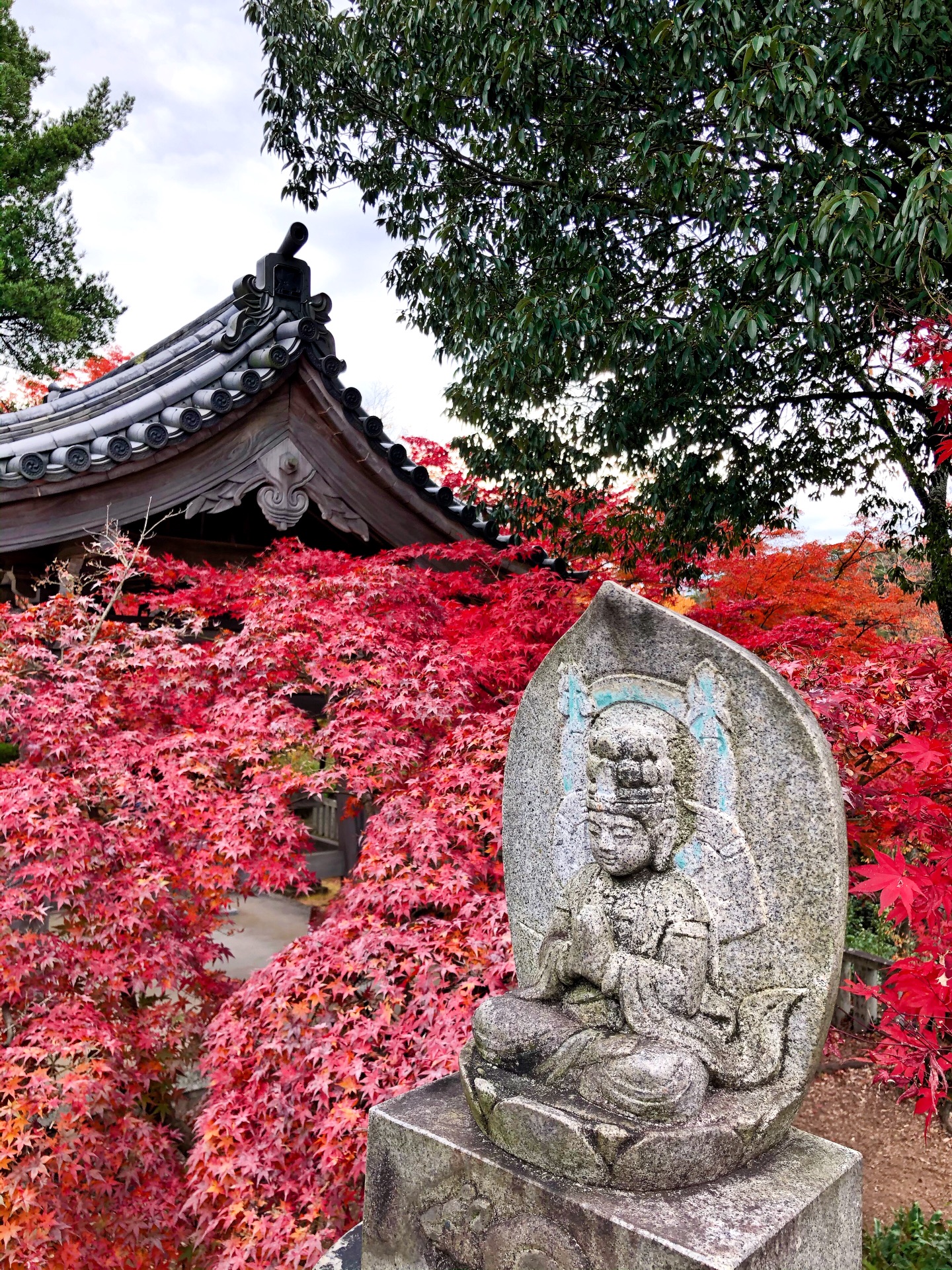 名古屋自助遊攻略