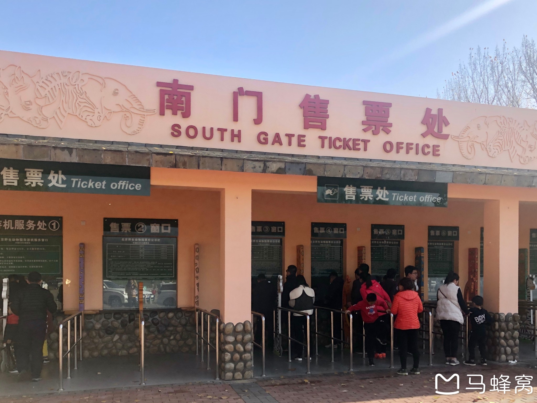 【北京大兴野生动物园】和动物们一起感受北京金色的秋天