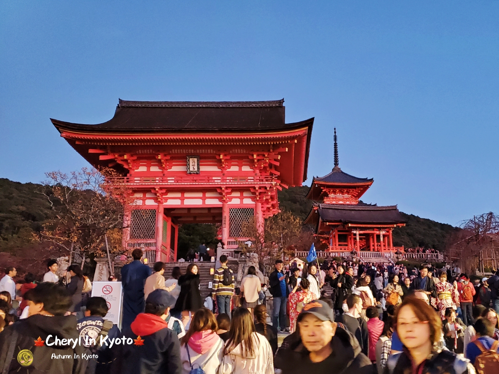 京都自助遊攻略