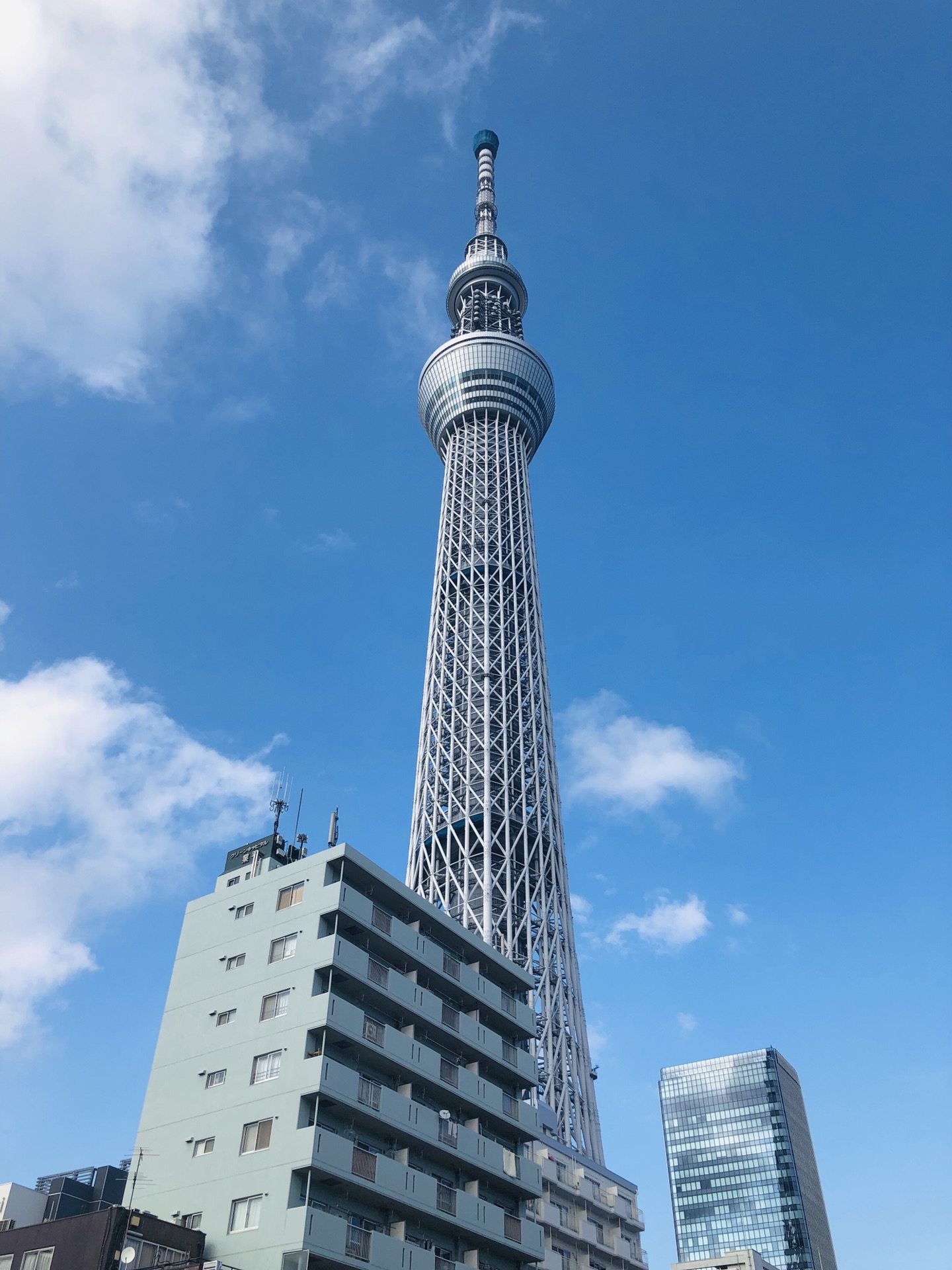 東京自助遊攻略