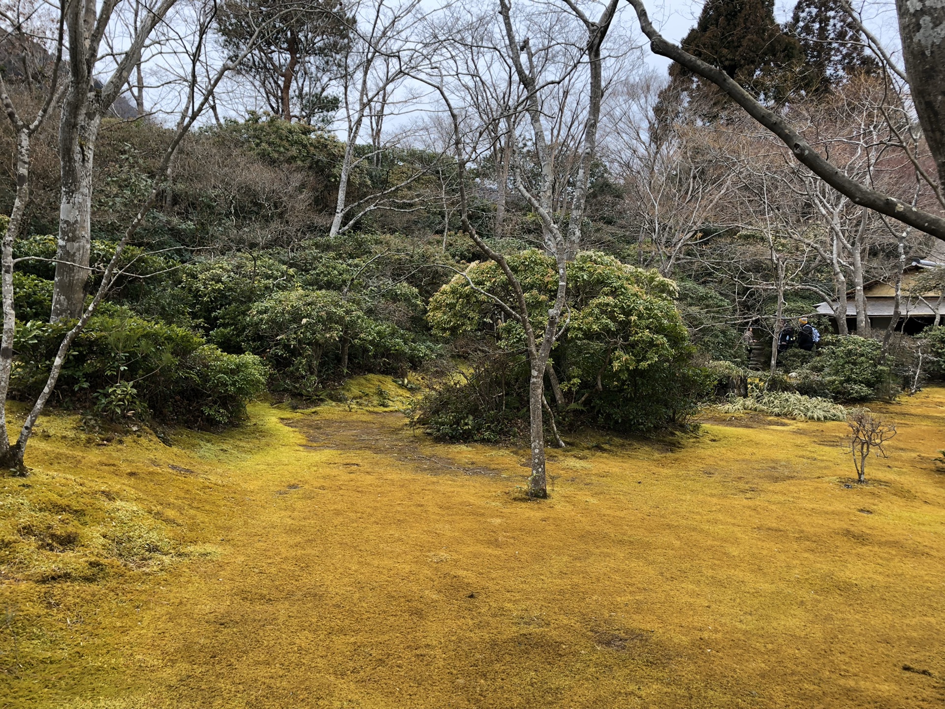 京都自助遊攻略