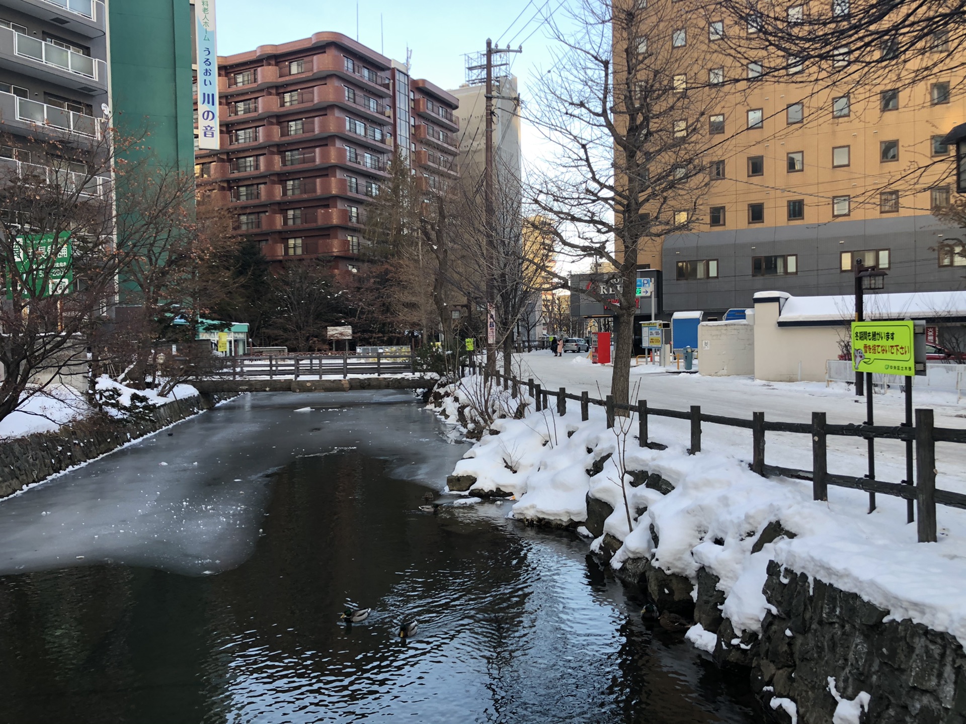 北海道自助遊攻略