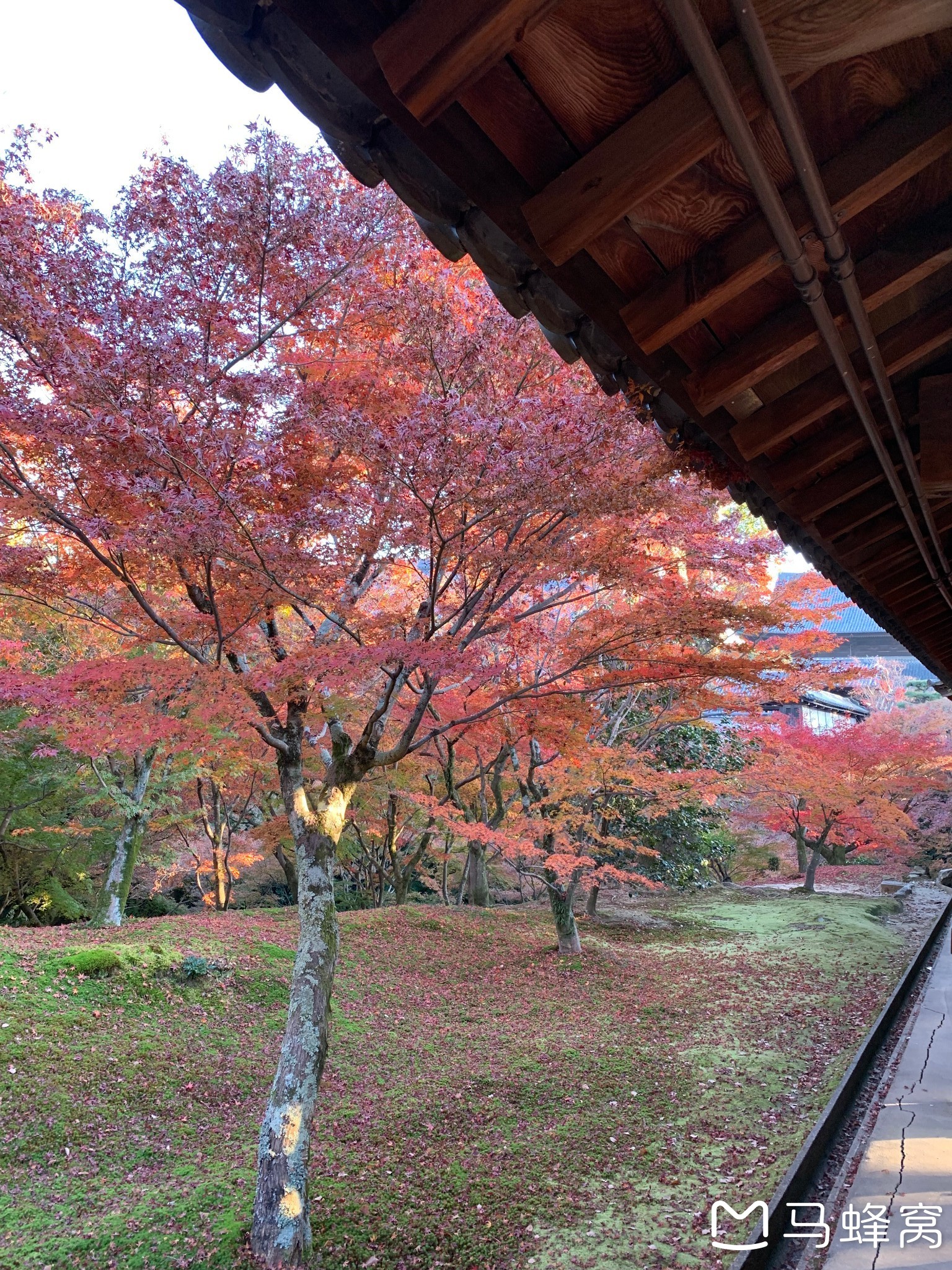 京都自助遊攻略