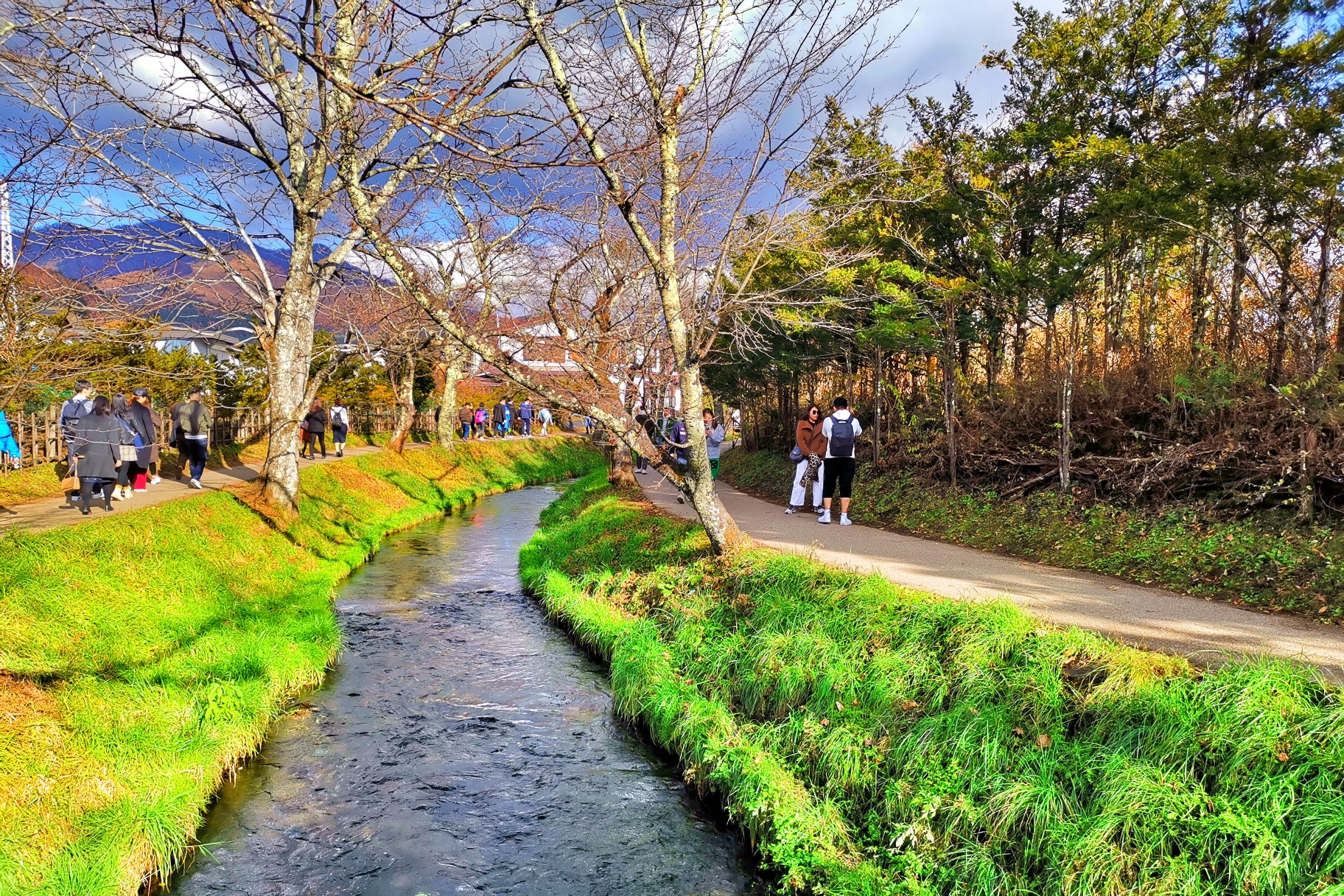 富士山自助遊攻略