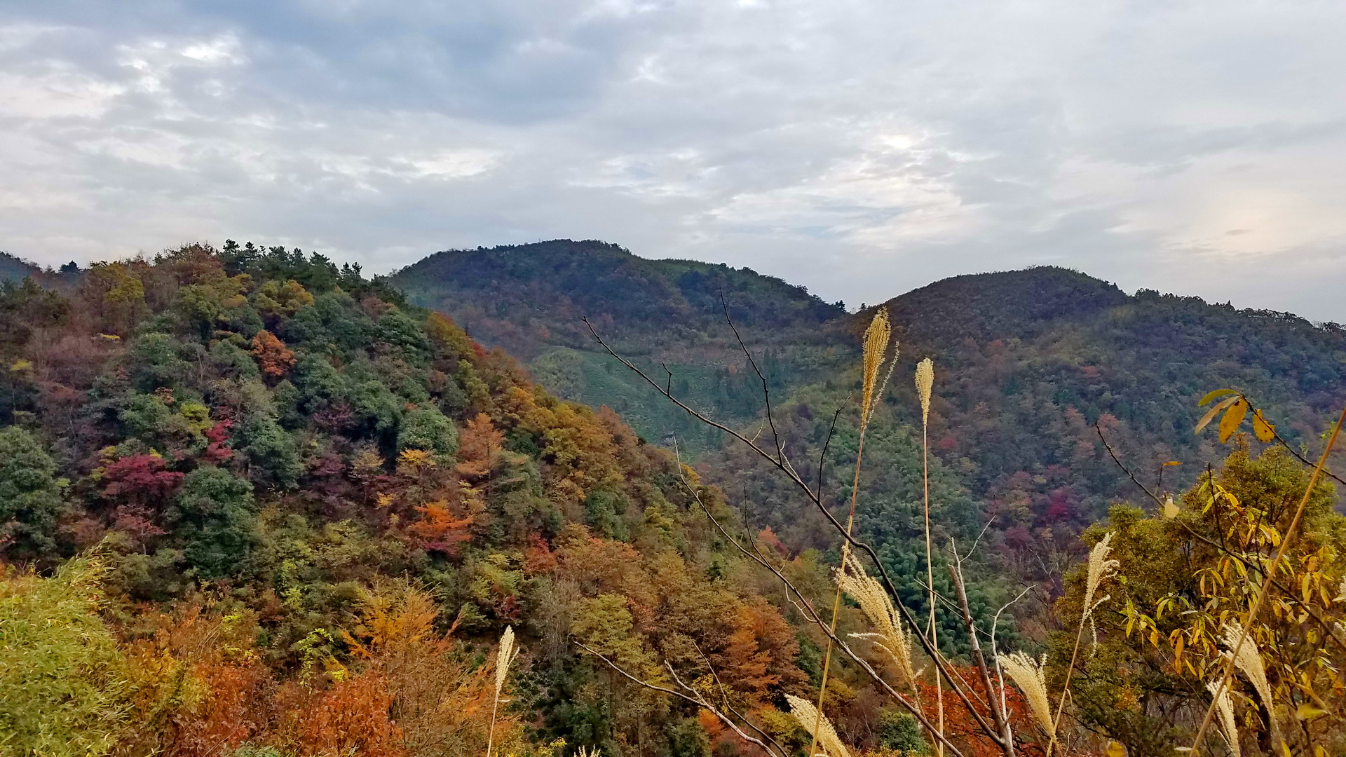 塔嶺埡口～陳王山～市嶺大坪～神會山～朱家大山嶺～大坪茶田大山村