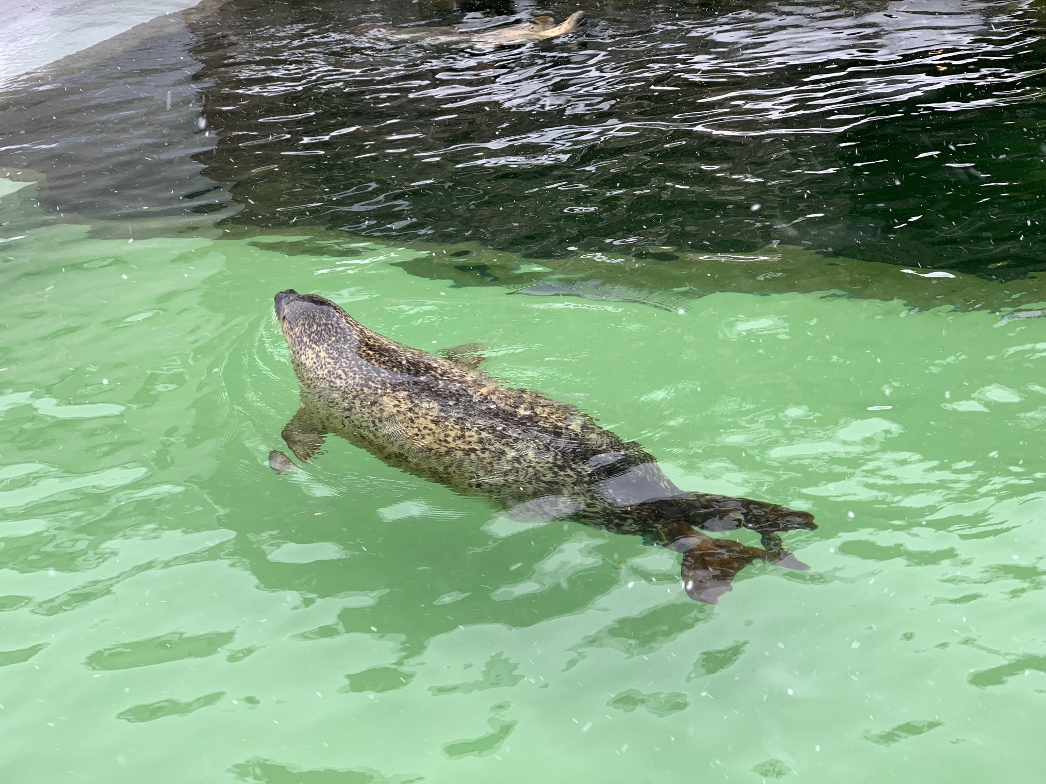 北海道自助遊攻略