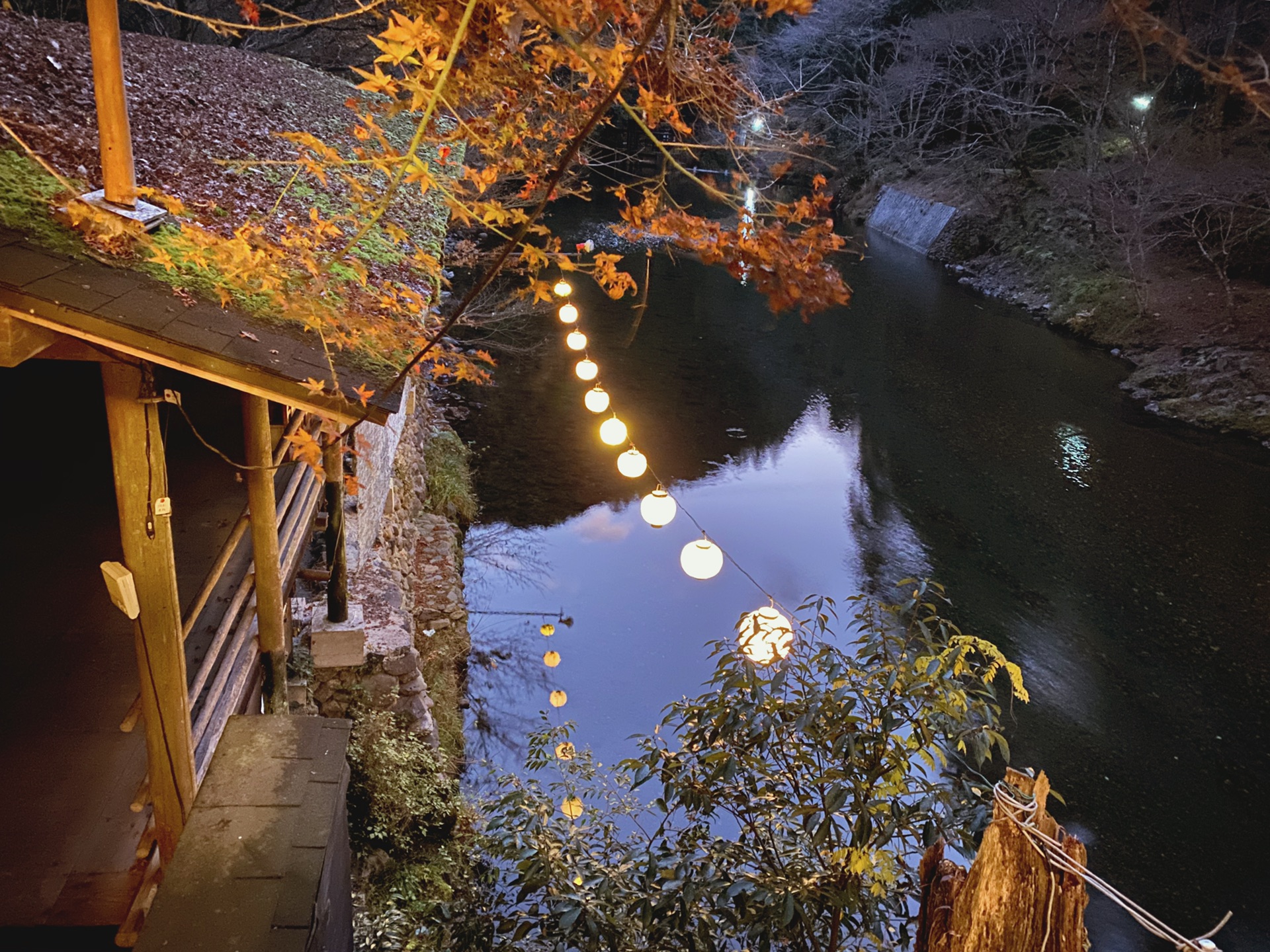 京都自助遊攻略