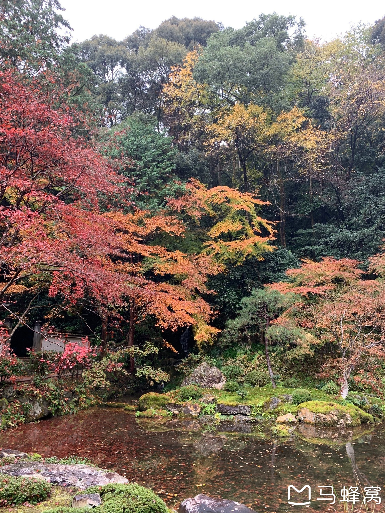 京都自助遊攻略