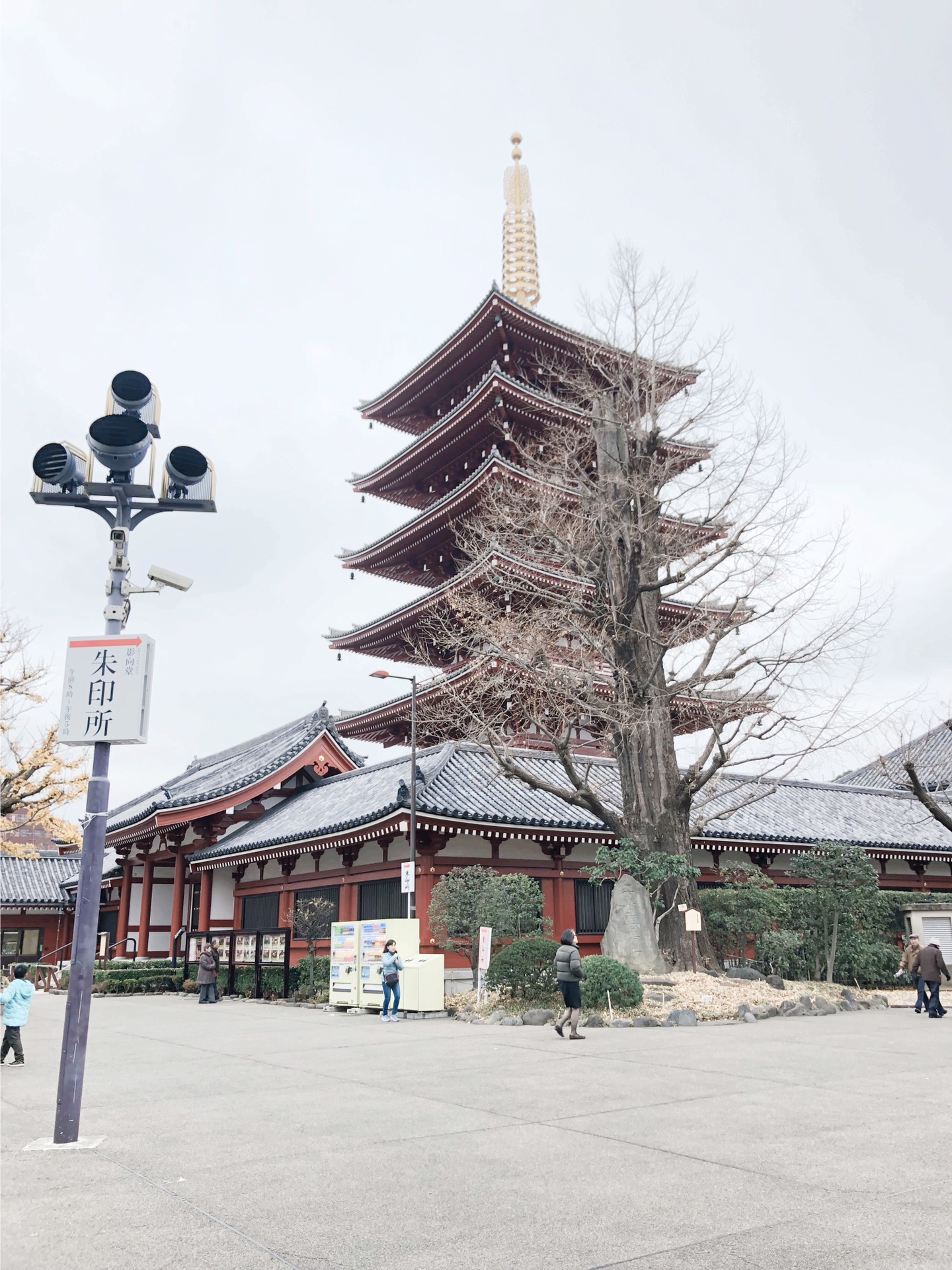 札幌自助遊攻略