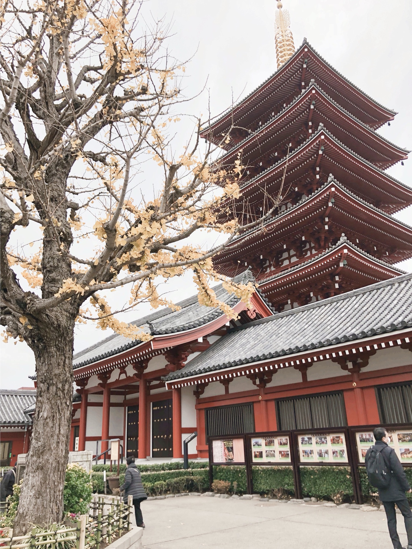 札幌自助遊攻略