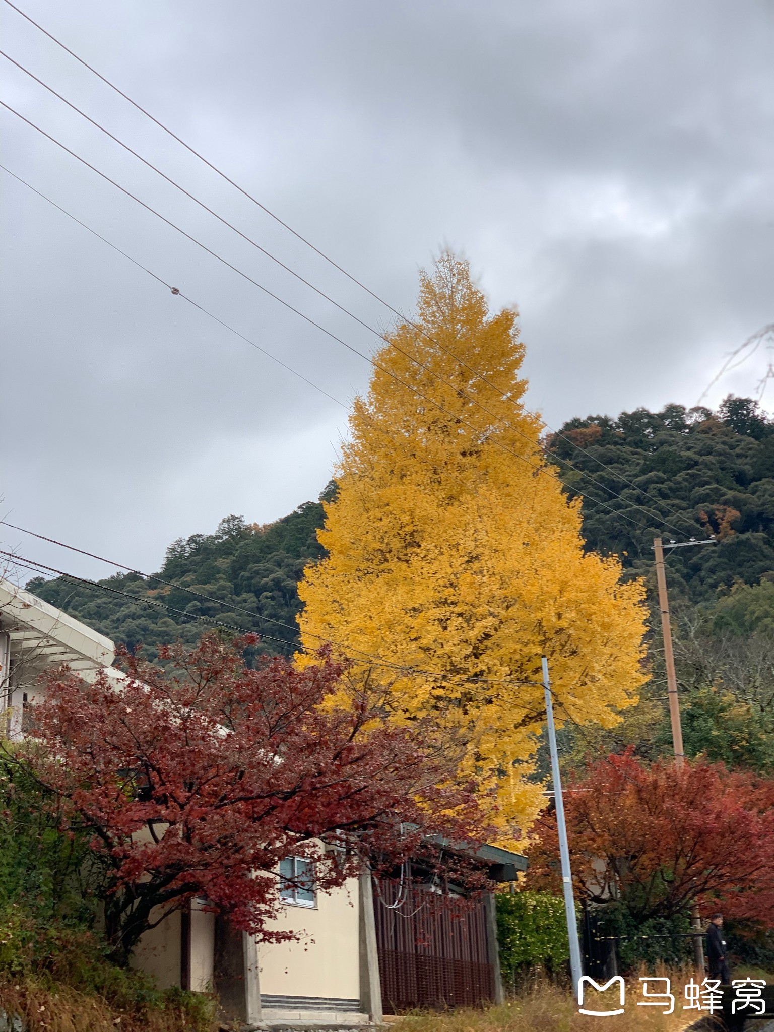 京都自助遊攻略