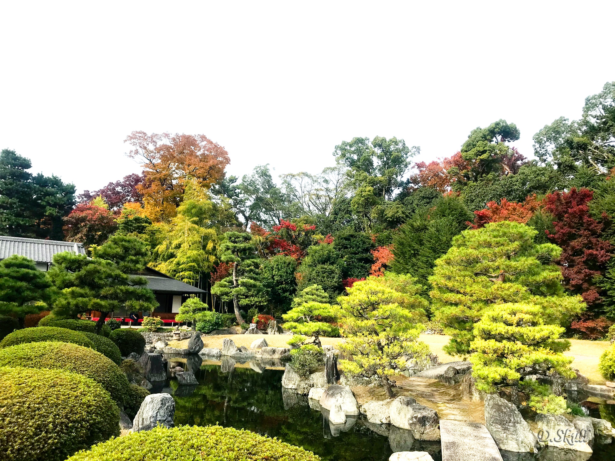 京都自助遊攻略