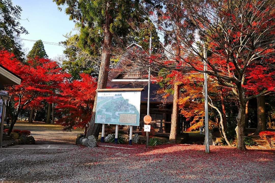 京都自助遊攻略