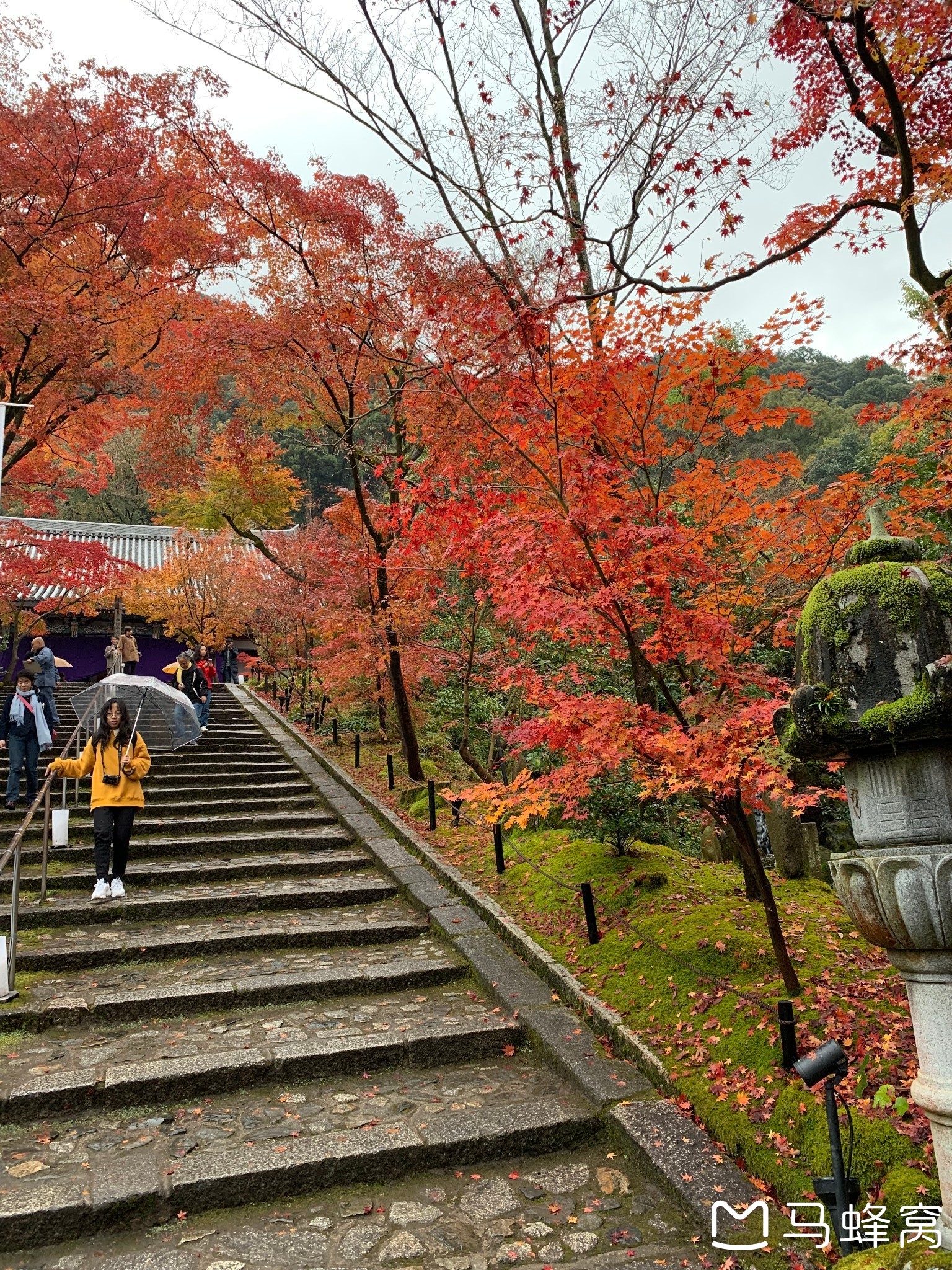 京都自助遊攻略